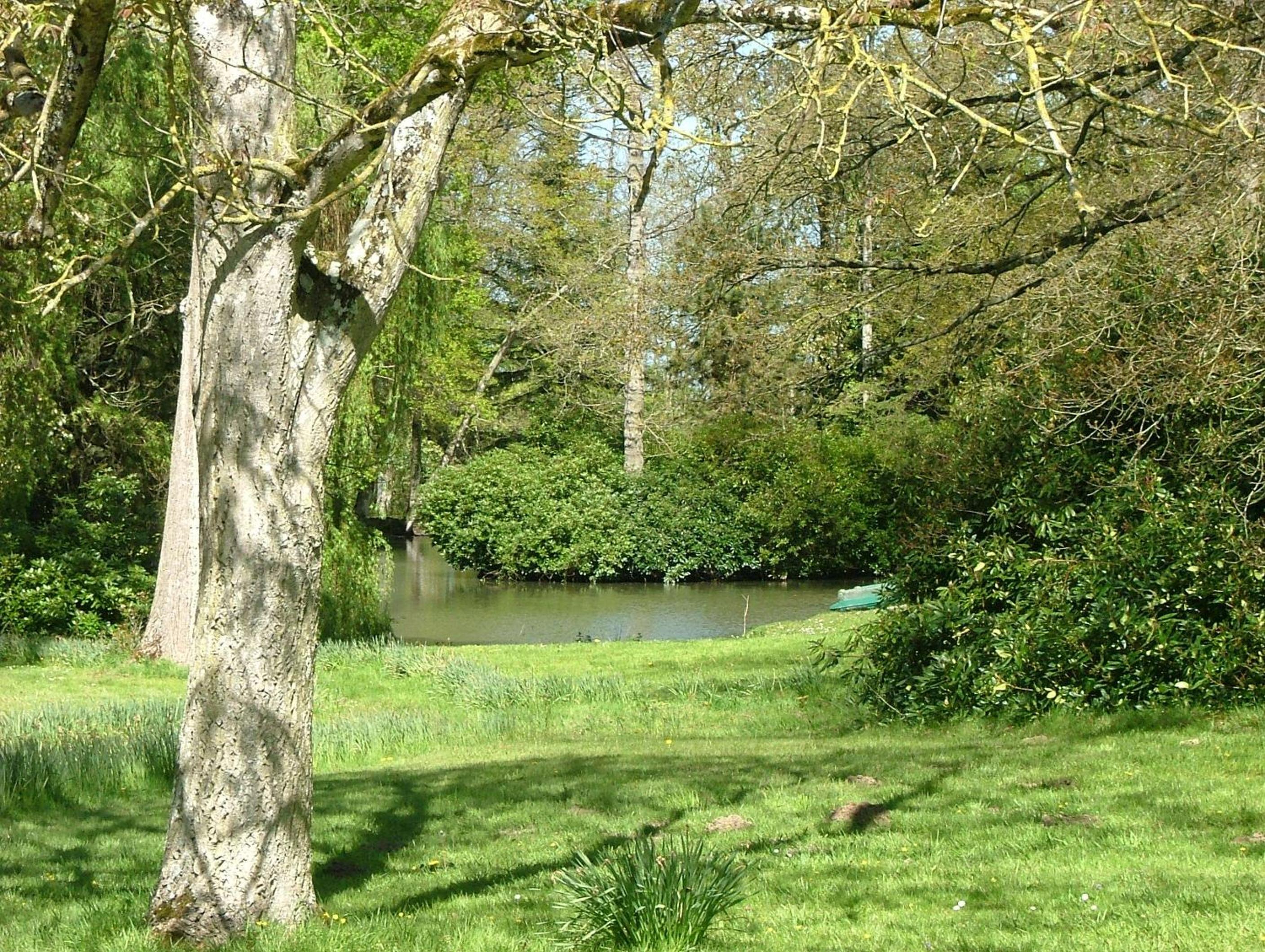 Cottage (8 Adults) photo 1