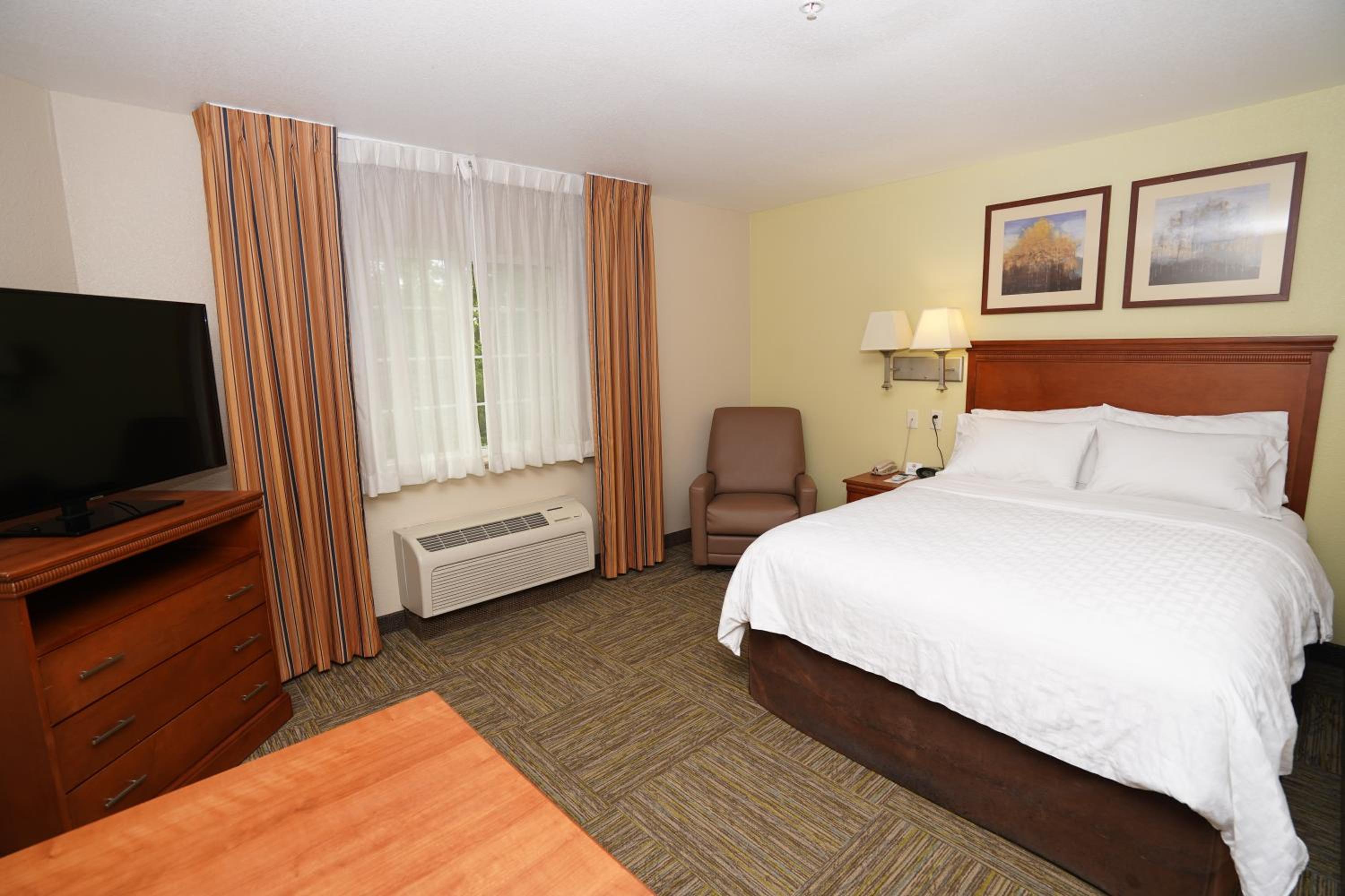 Studio Suite - Photo 1