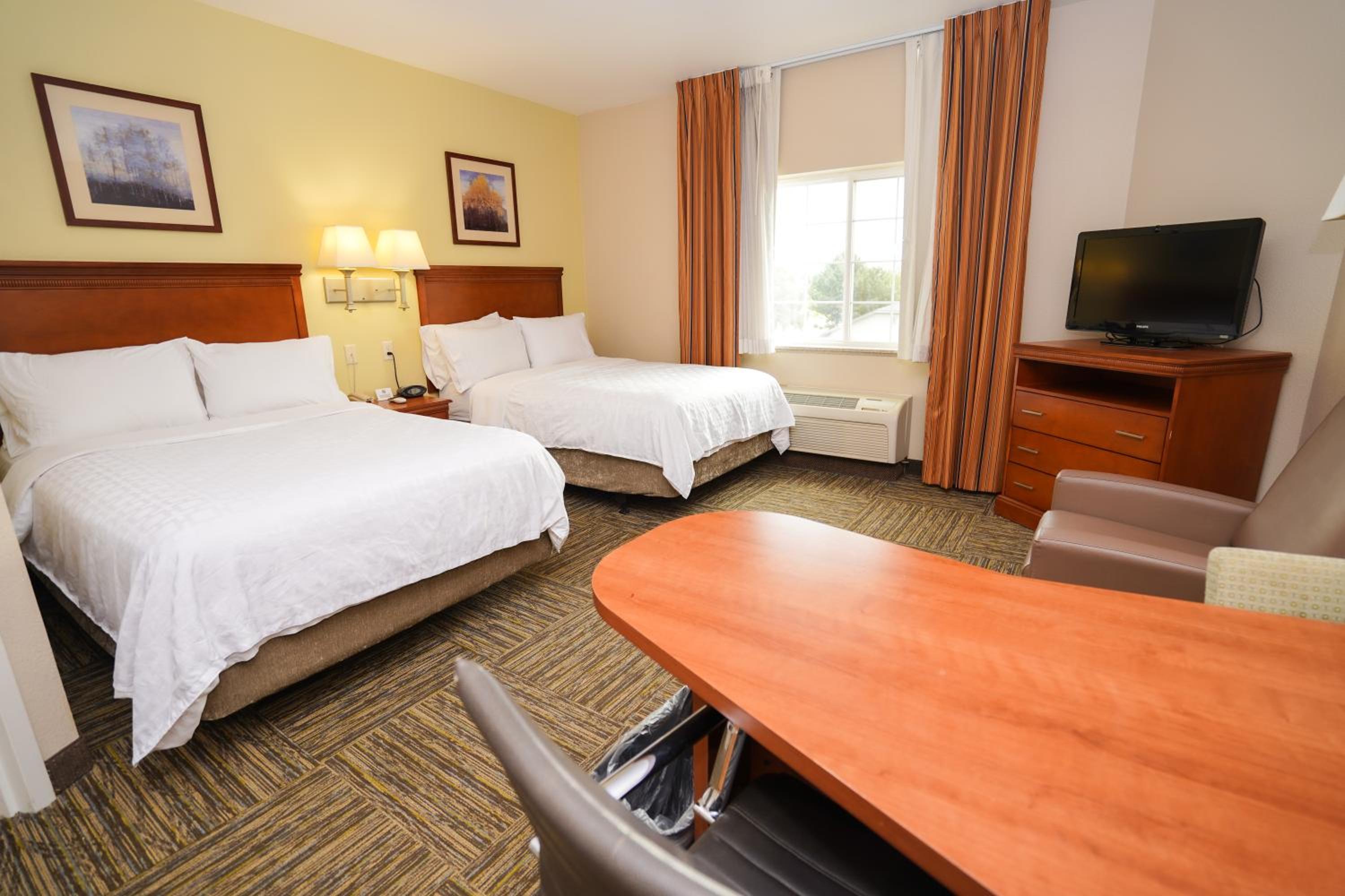 Studio Suite with Two Double Beds - Photo 1