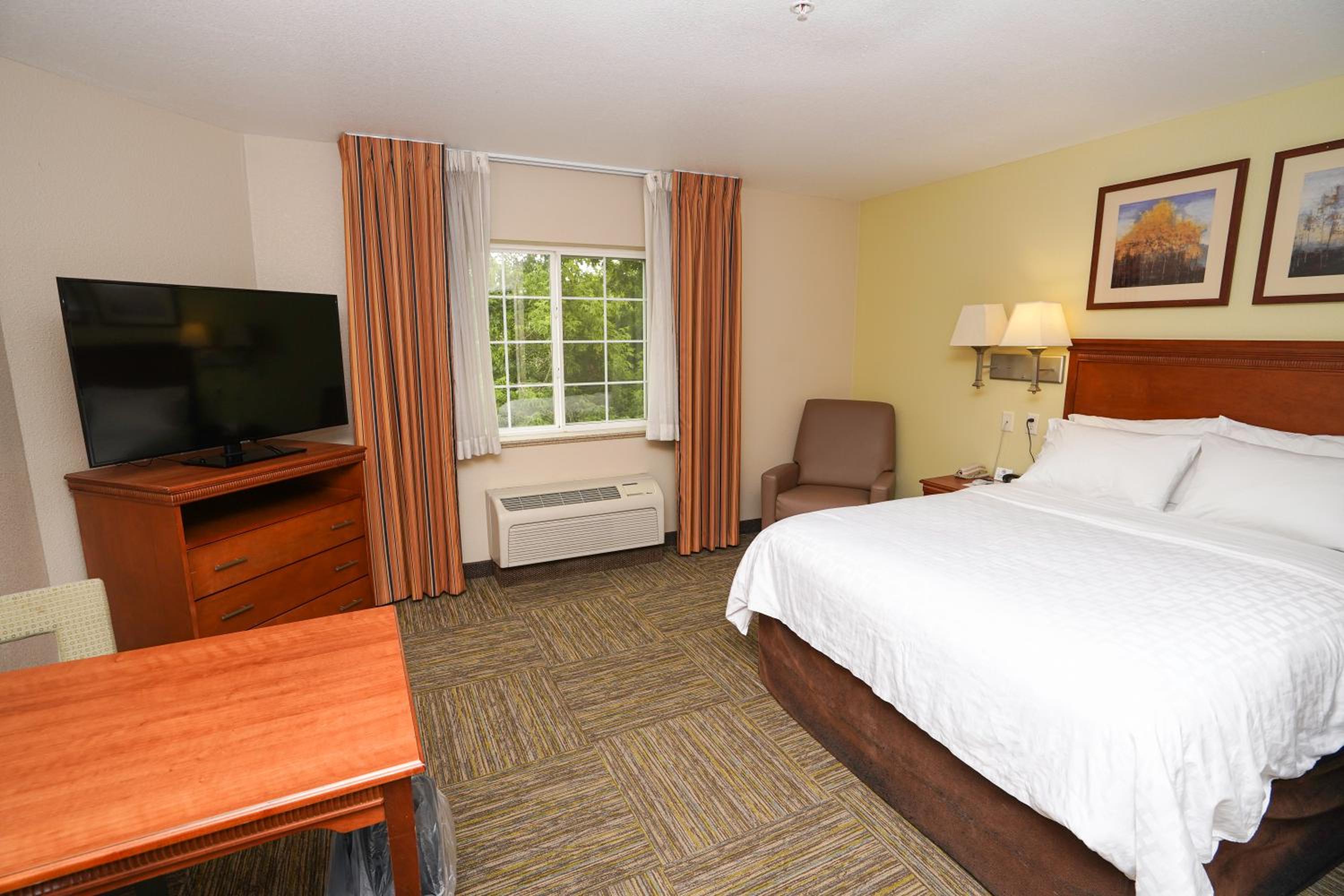 Studio Suite - Photo 2