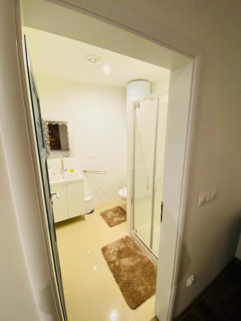 Apartment with Terrace photo 2