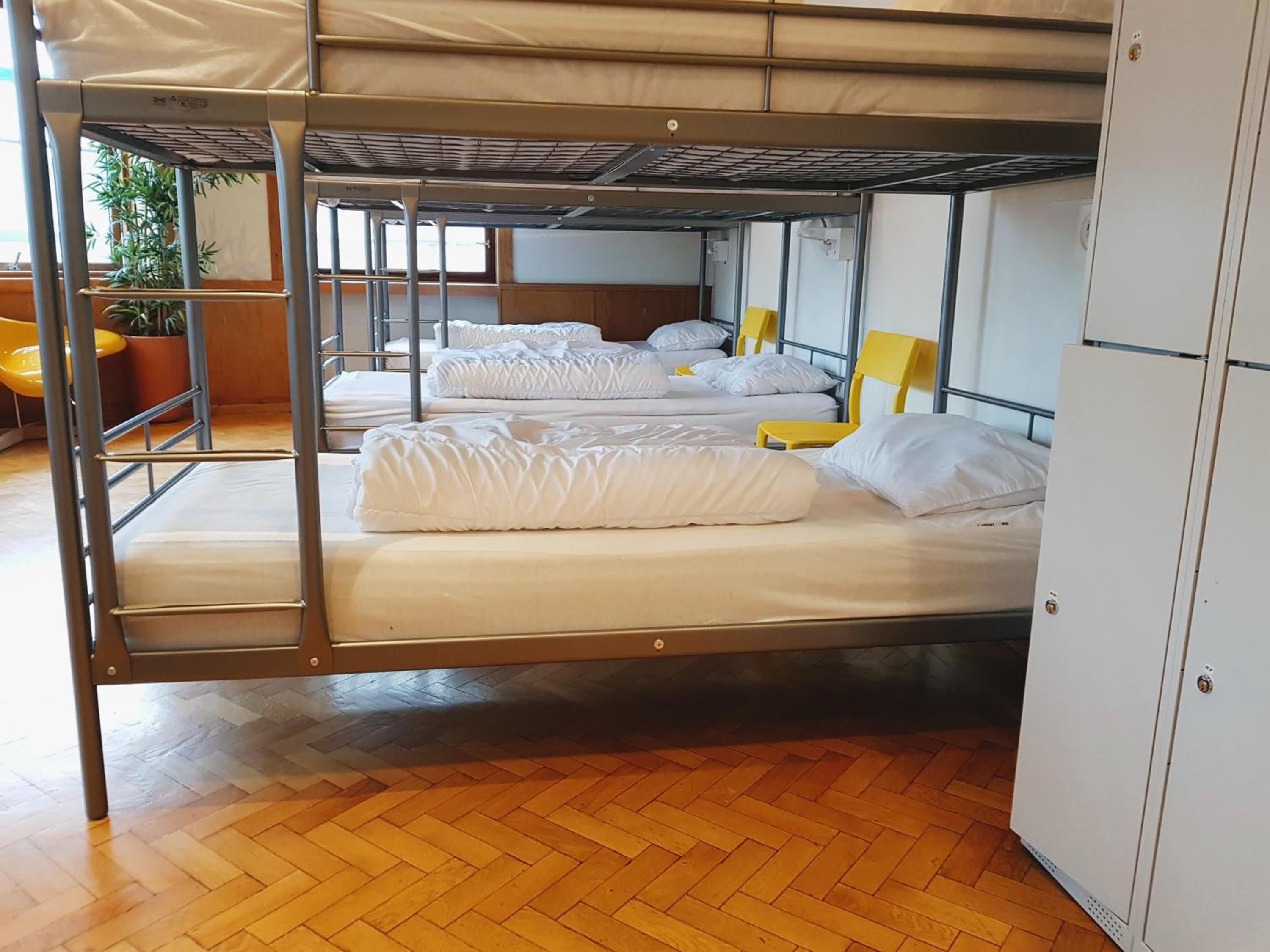 Single Bed in 10-Bed Male Dormitory Room  photo 3
