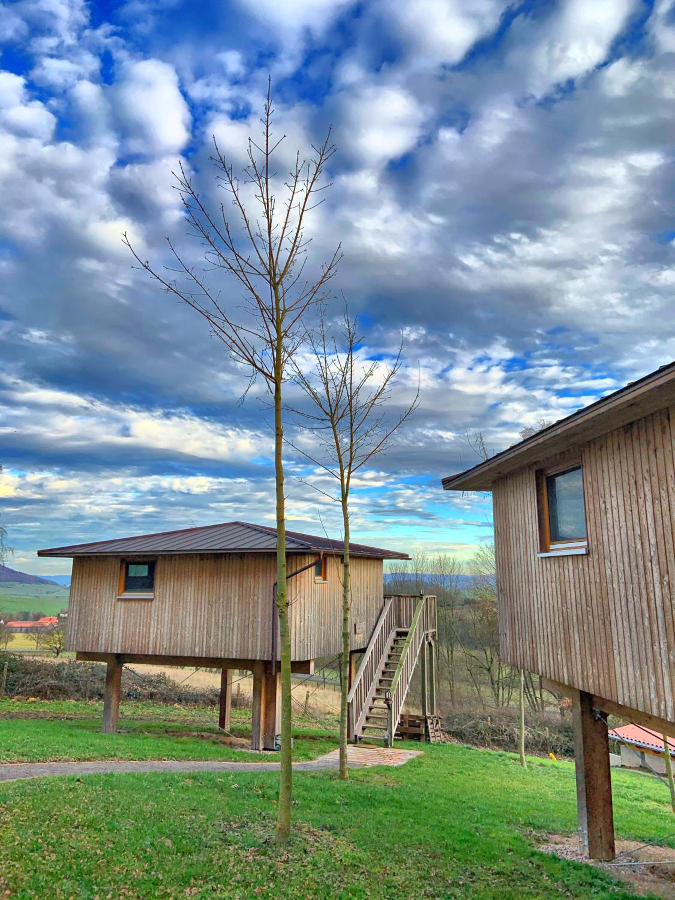 Treehouse Birkenhöhe - Photo 17