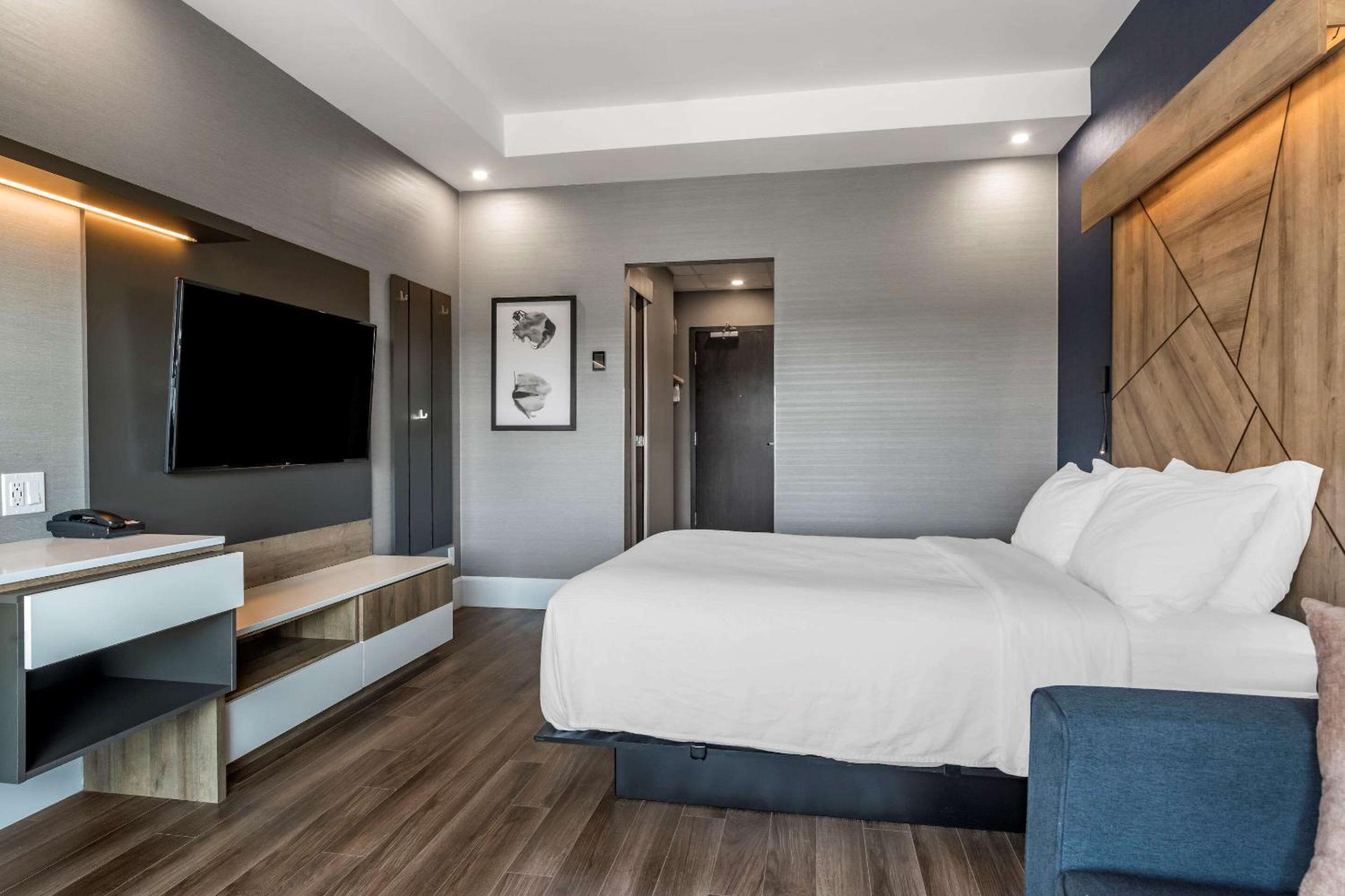 Standard Queen Room with Sofa Bed - Non-Smoking