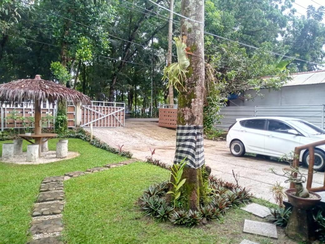 Three-Bedroom Villa photo 2