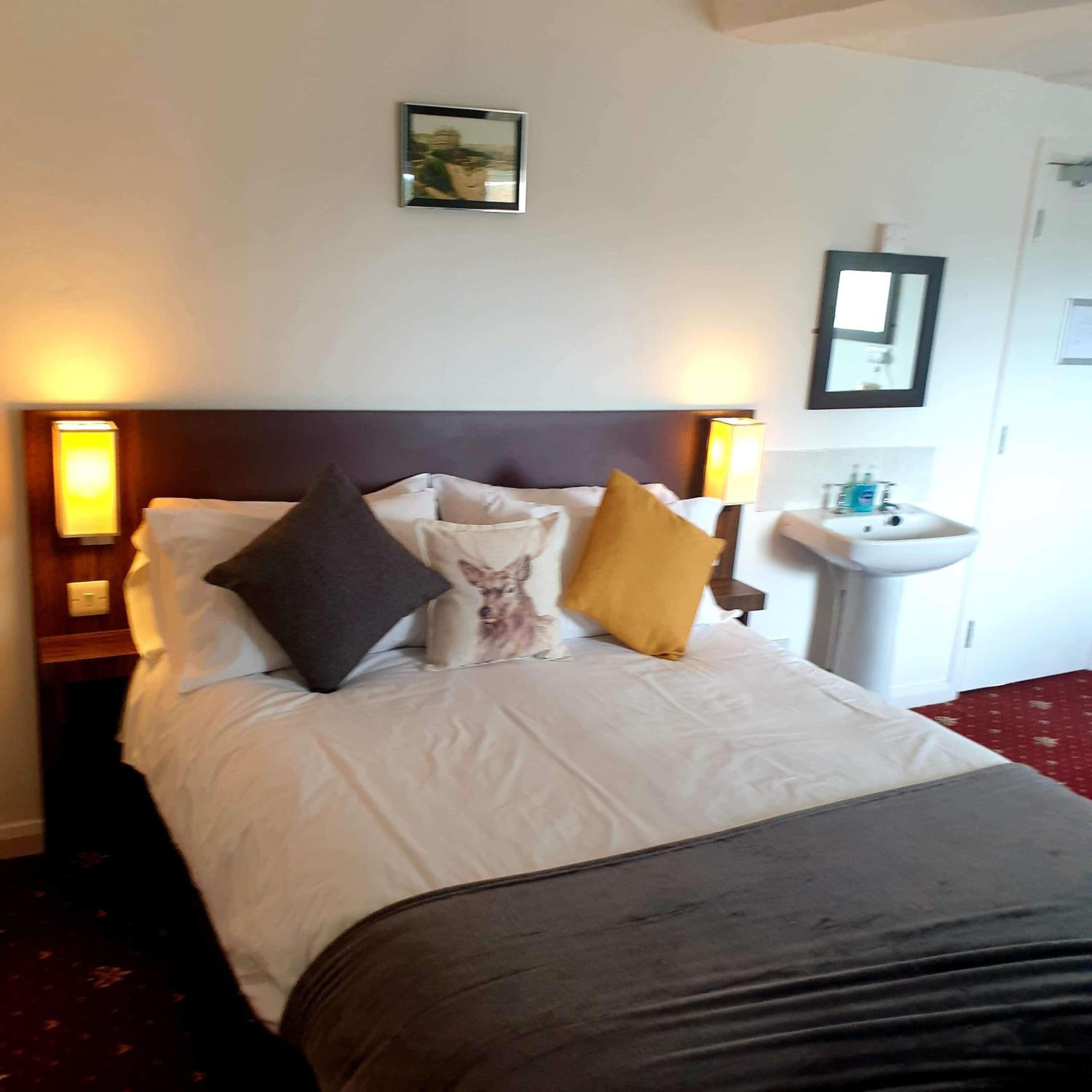 Double Room photo 1