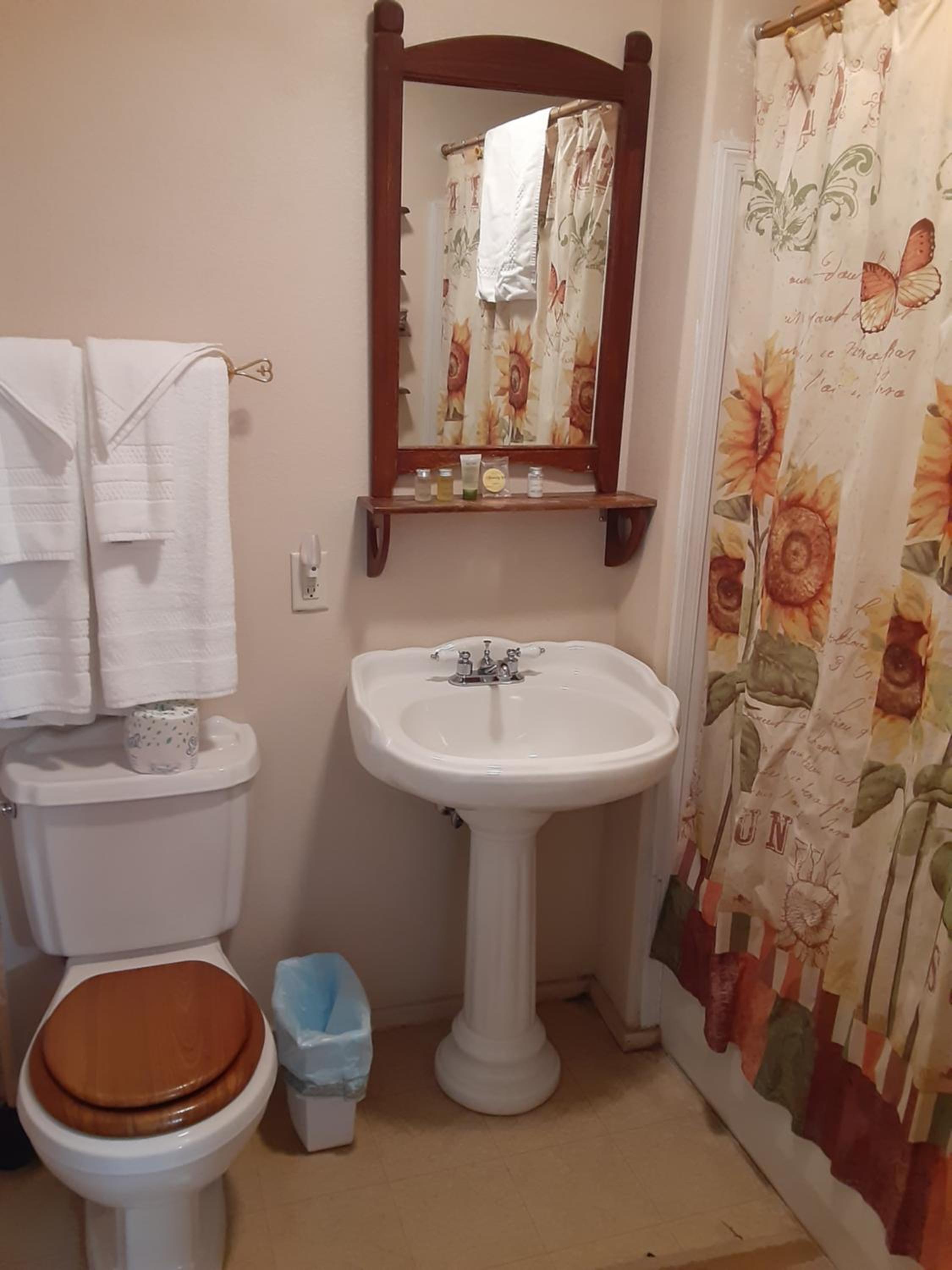 Deluxe Queen Room photo 3