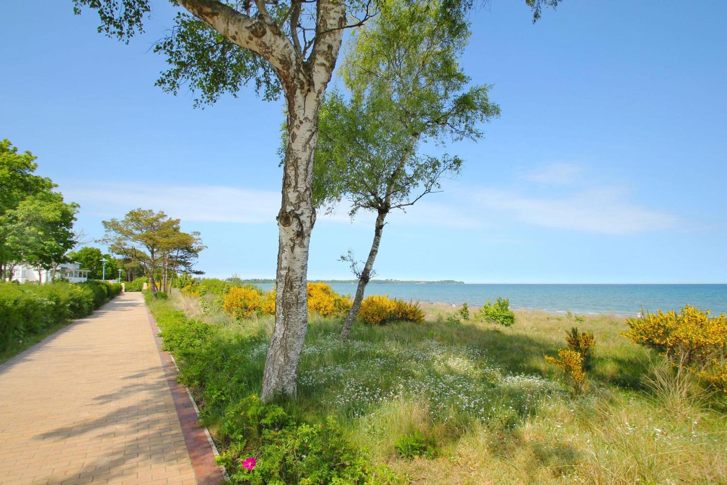 Apartment With Sea View photo 3