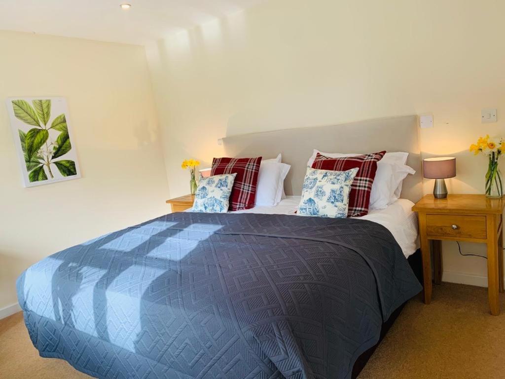 Superior King Room photo 2