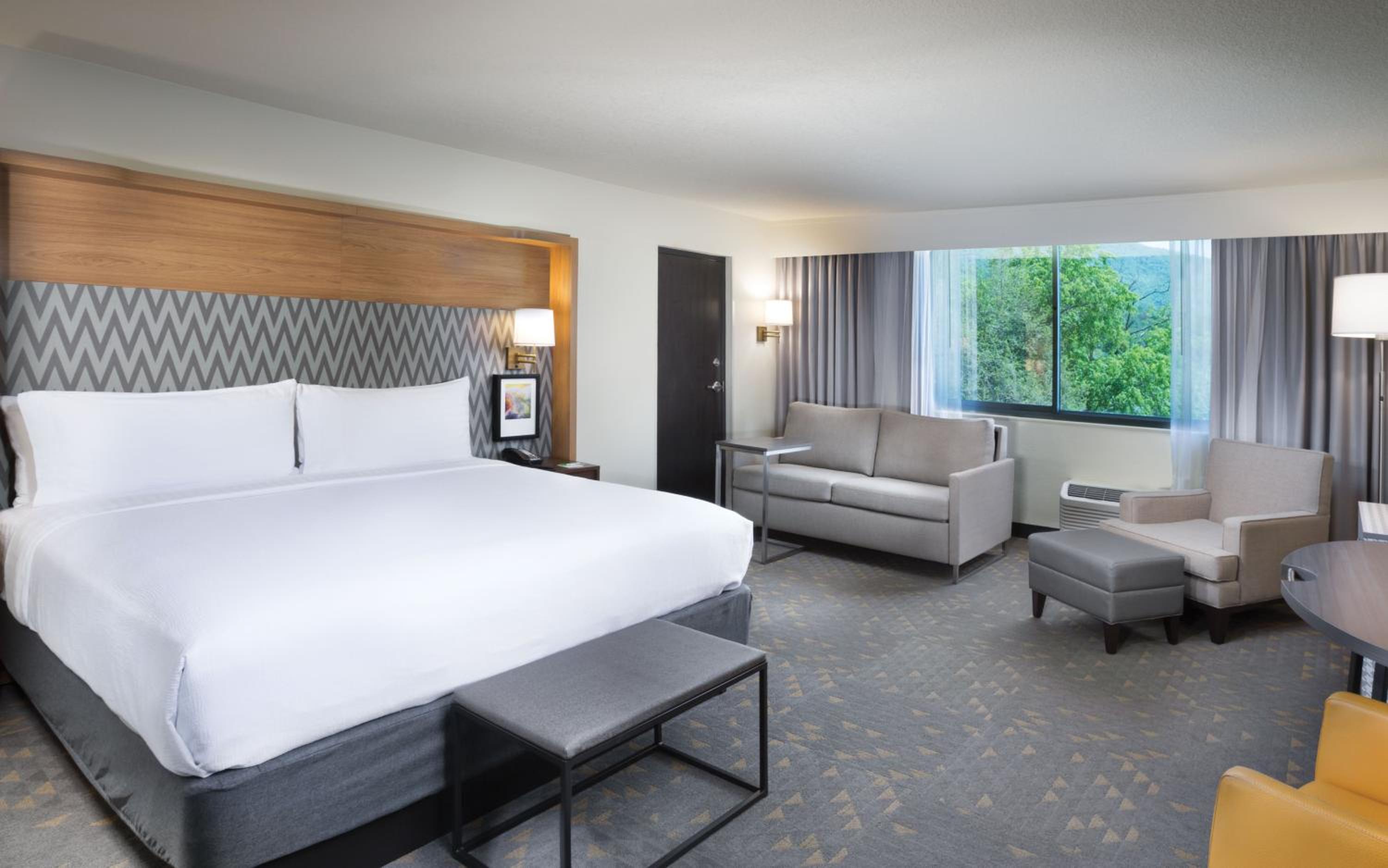 Premium King Room With Mountain View photo 1