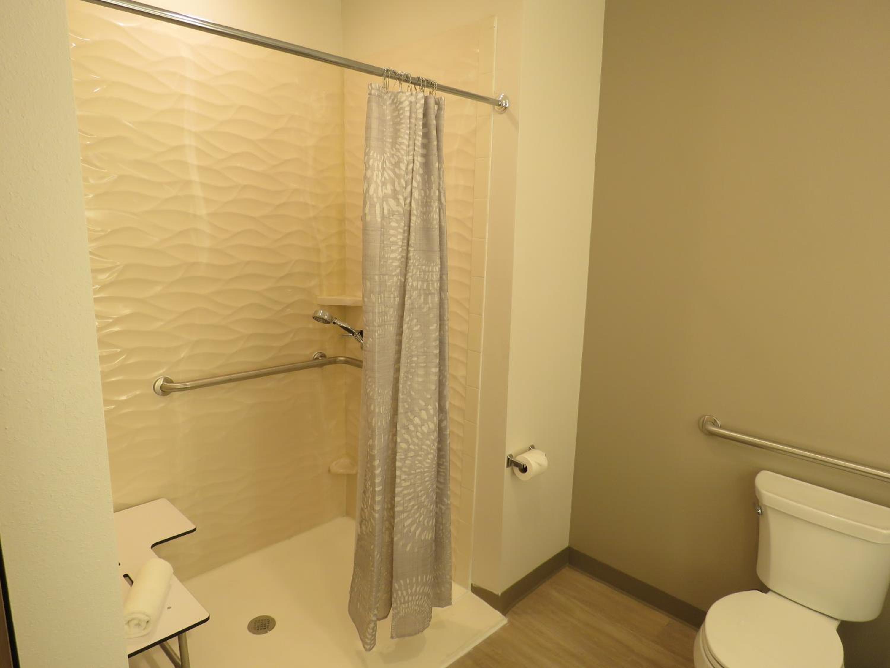 King Room with Roll-in Shower - Mobility Accessible/Non-Smoking - Photo 3