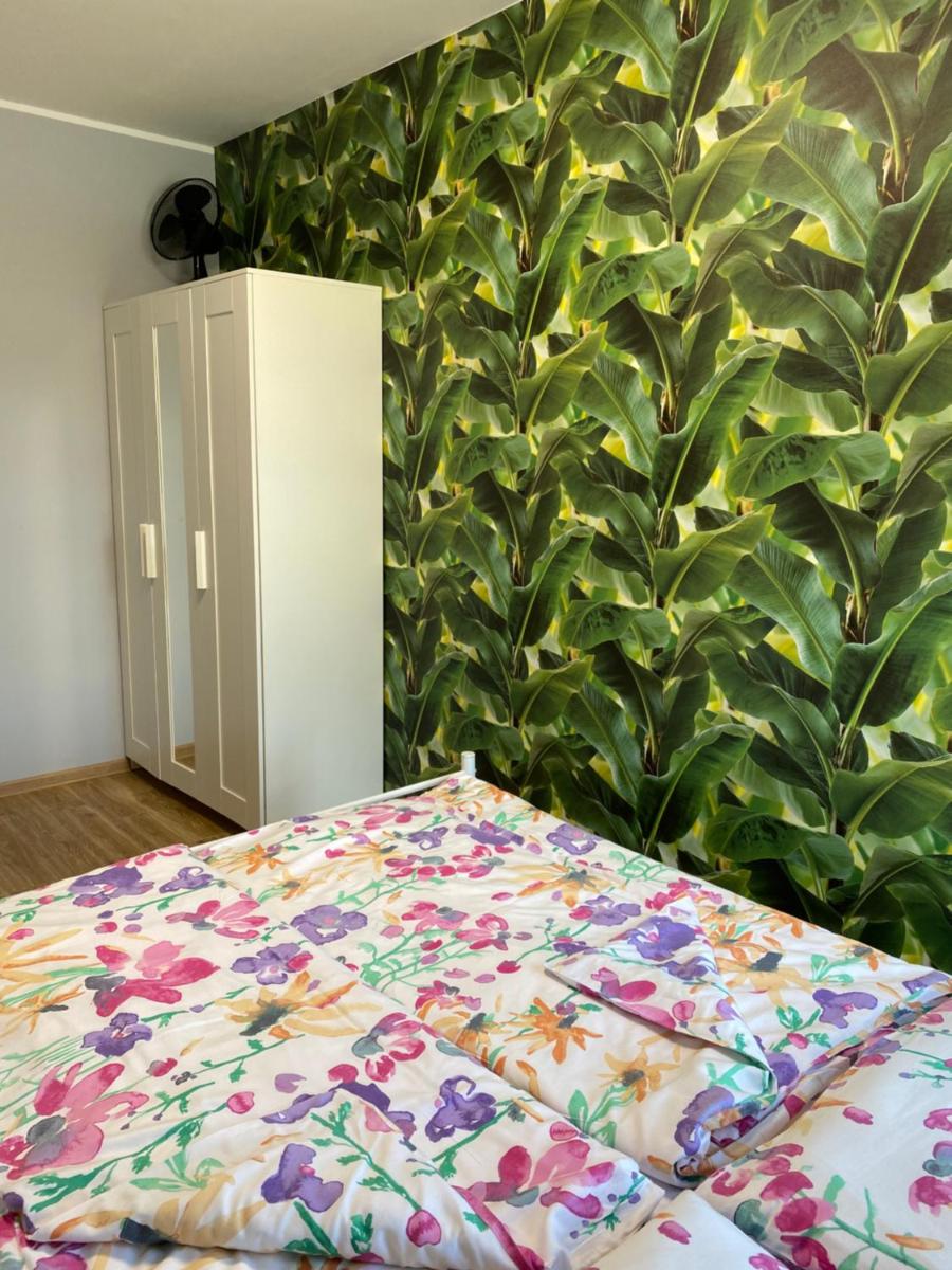 One-Bedroom Apartment - Photo 4