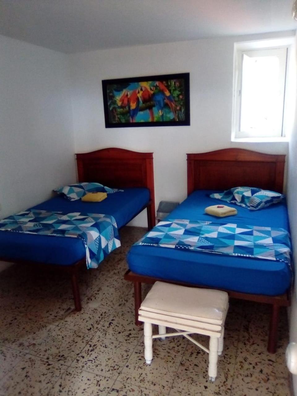 Twin Room photo 2