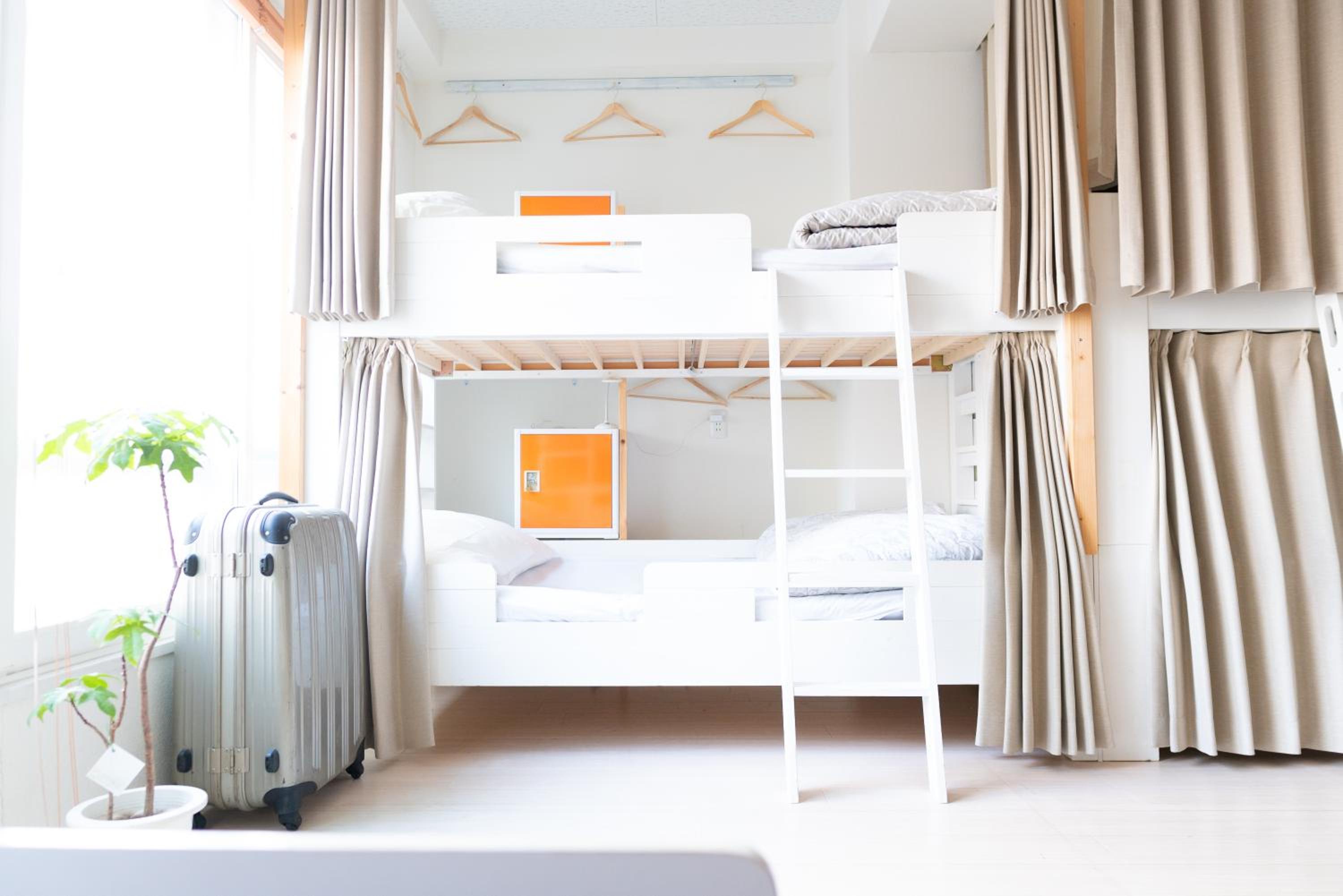 8-Bed Female Dormitory Room photo 1