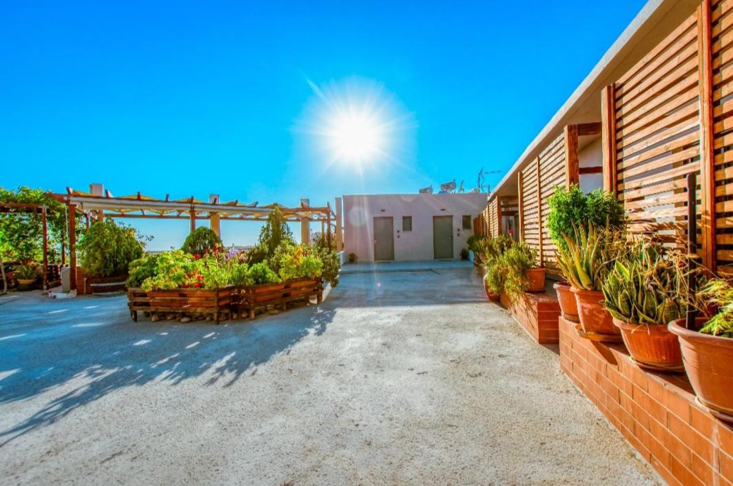 Apartment with Sea View photo 2