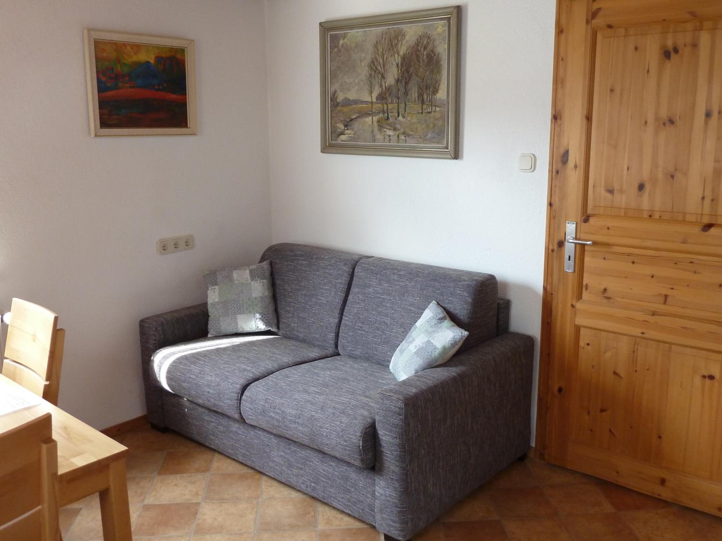 Apartment with Terrace photo 2