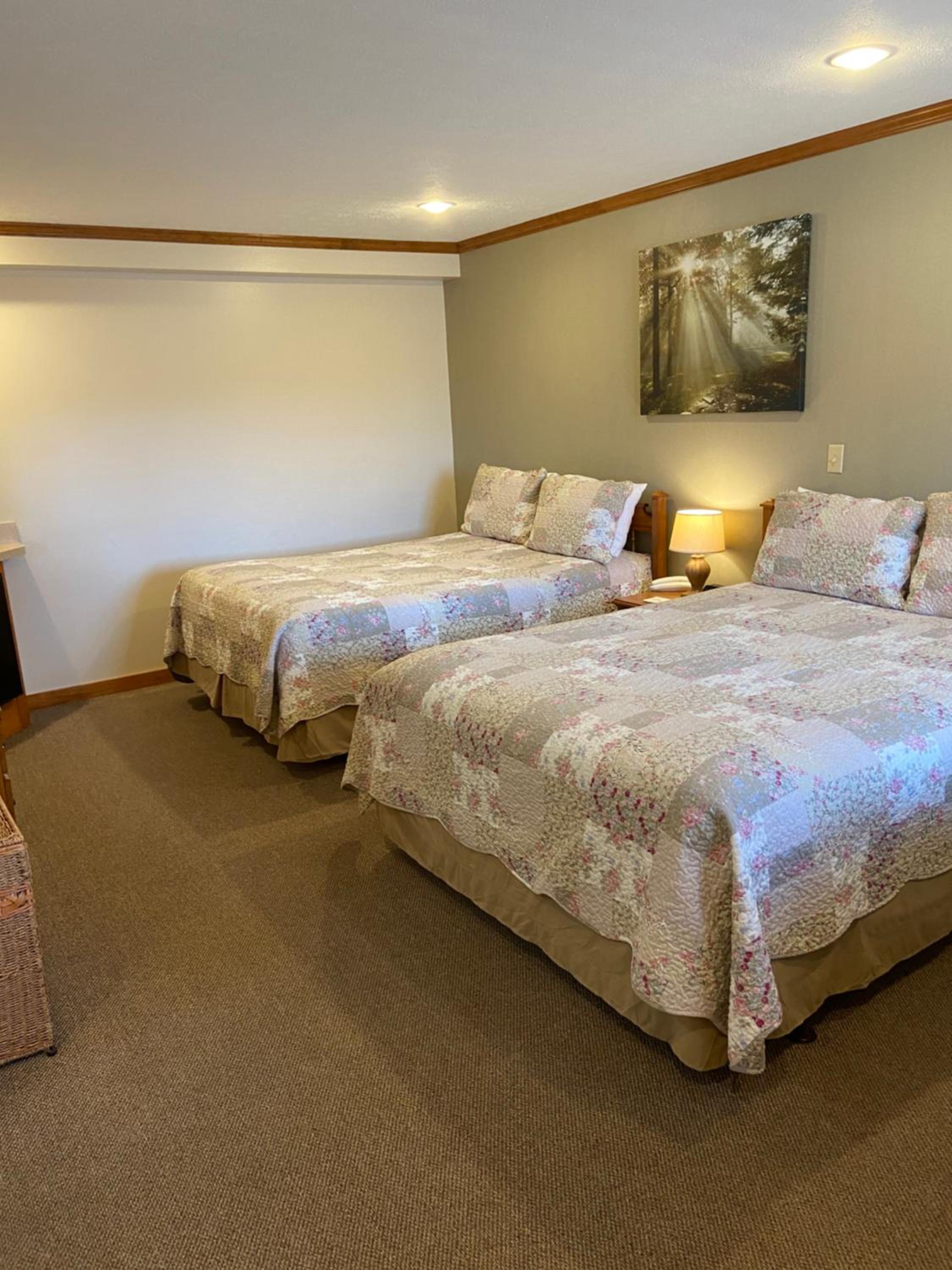 Standard Queen Room photo 1