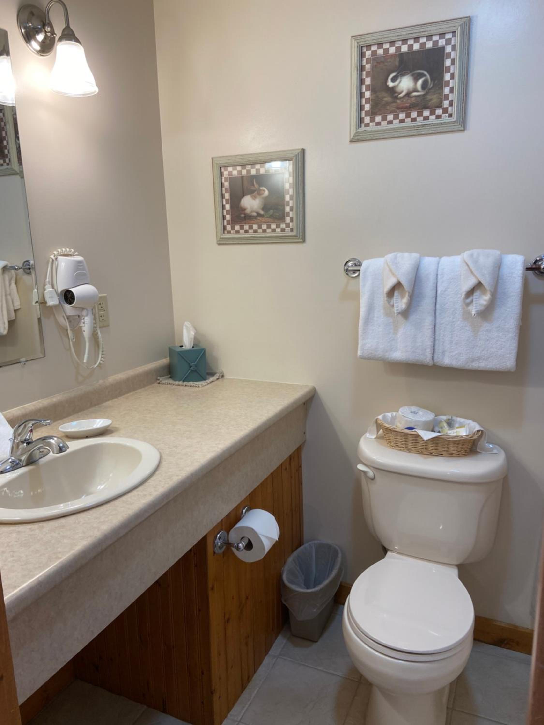 Standard Queen Room photo 3