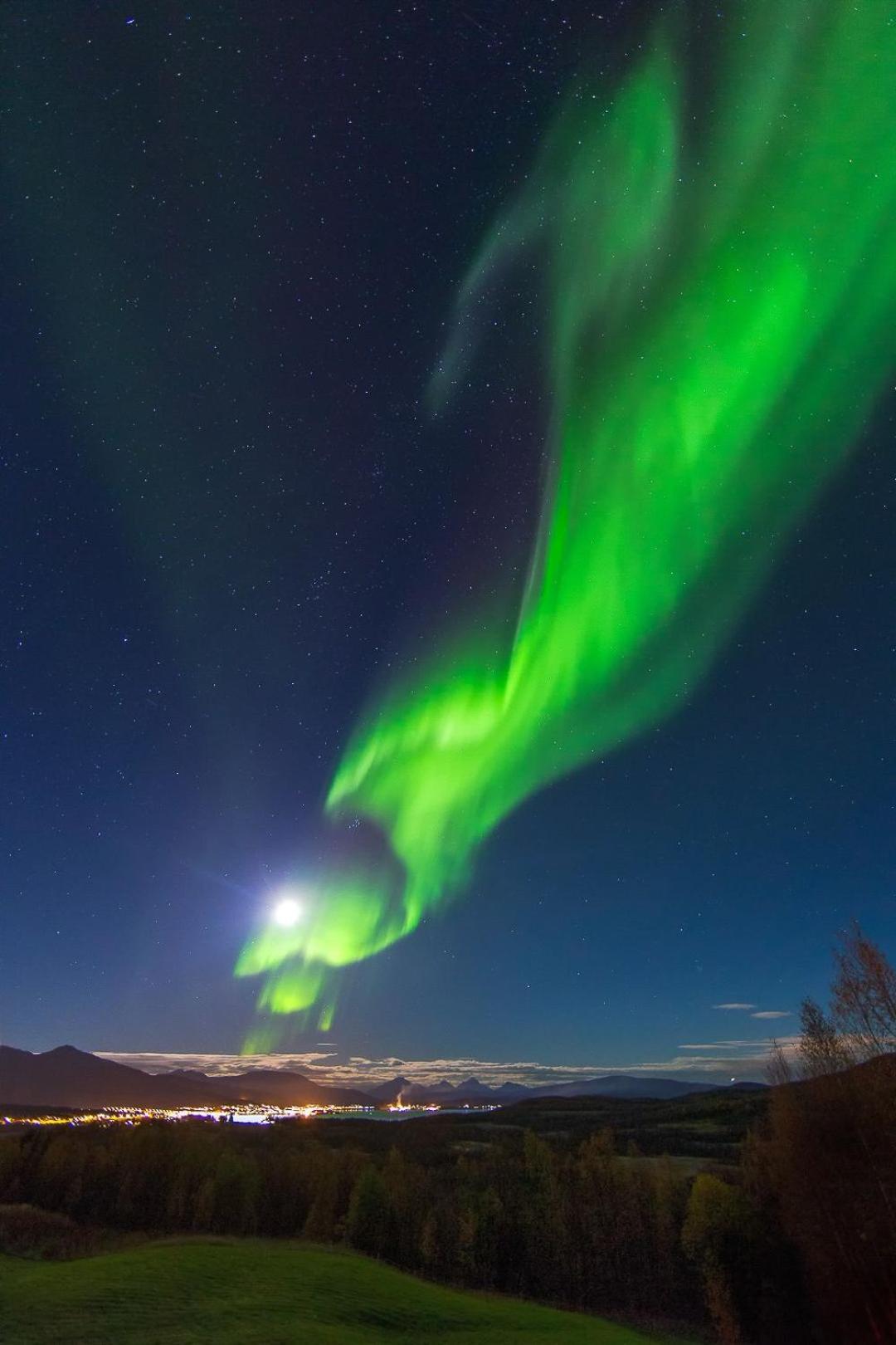 Standard Apartment - Photo 6
