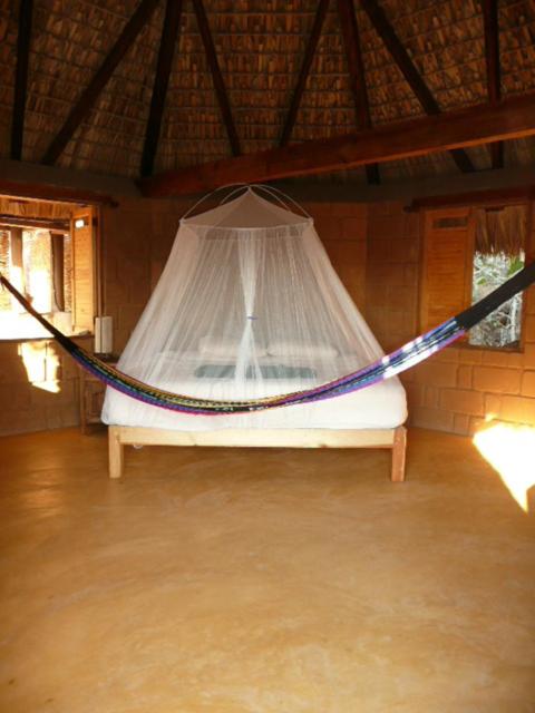 Deluxe Bungalow with Garden View photo 1