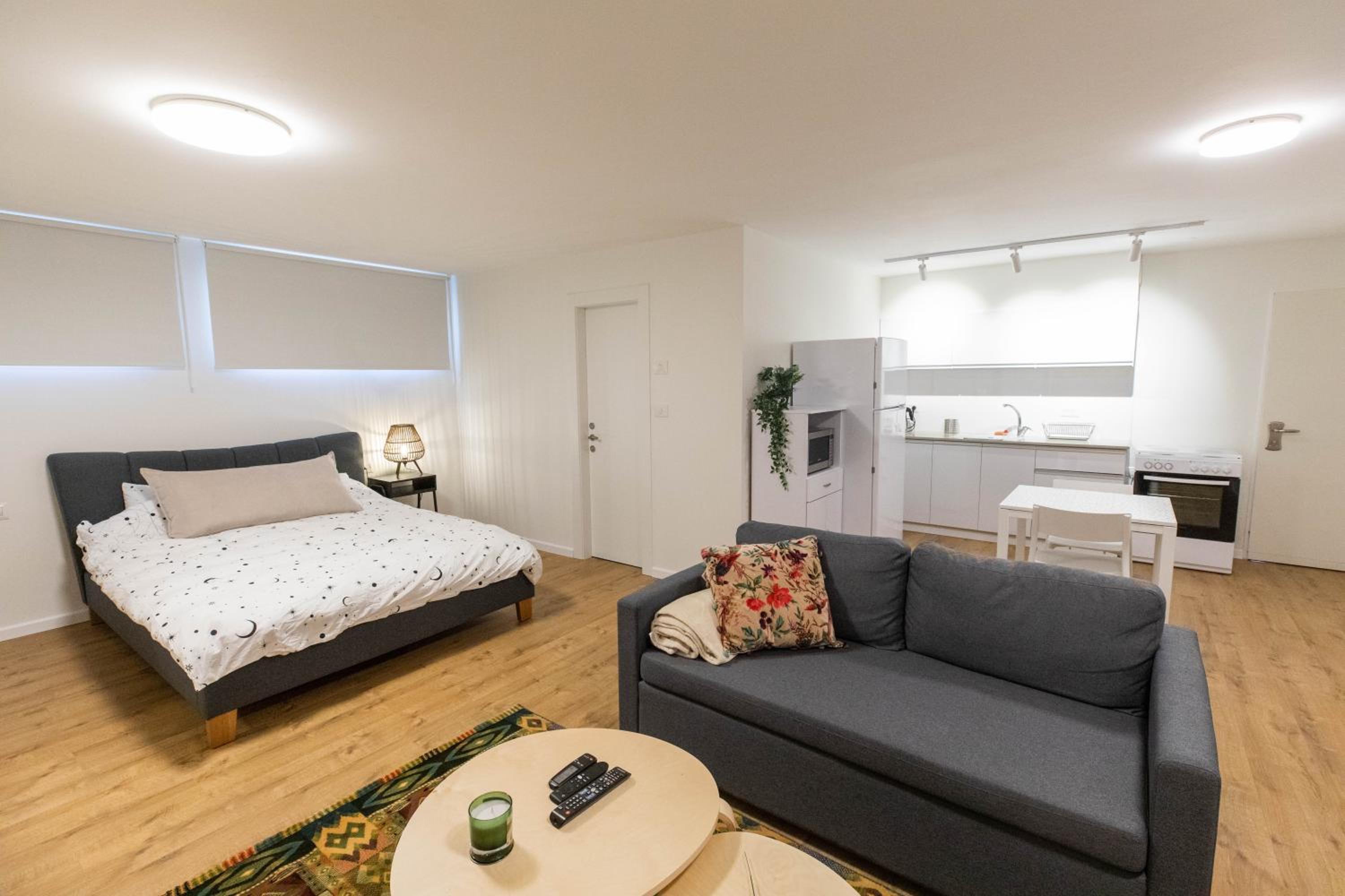 Studio Apartment photo 2