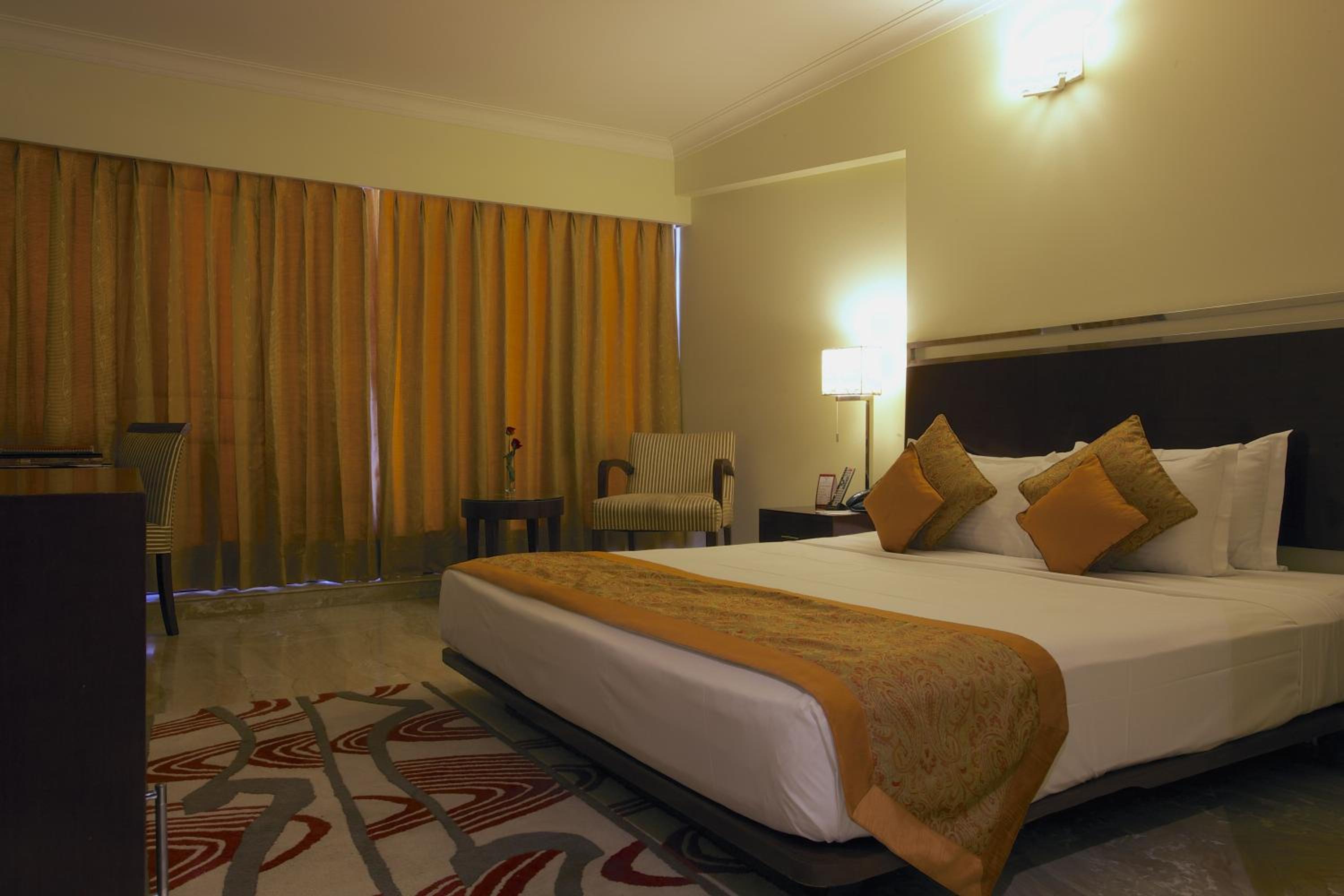 Suite - Photo 3