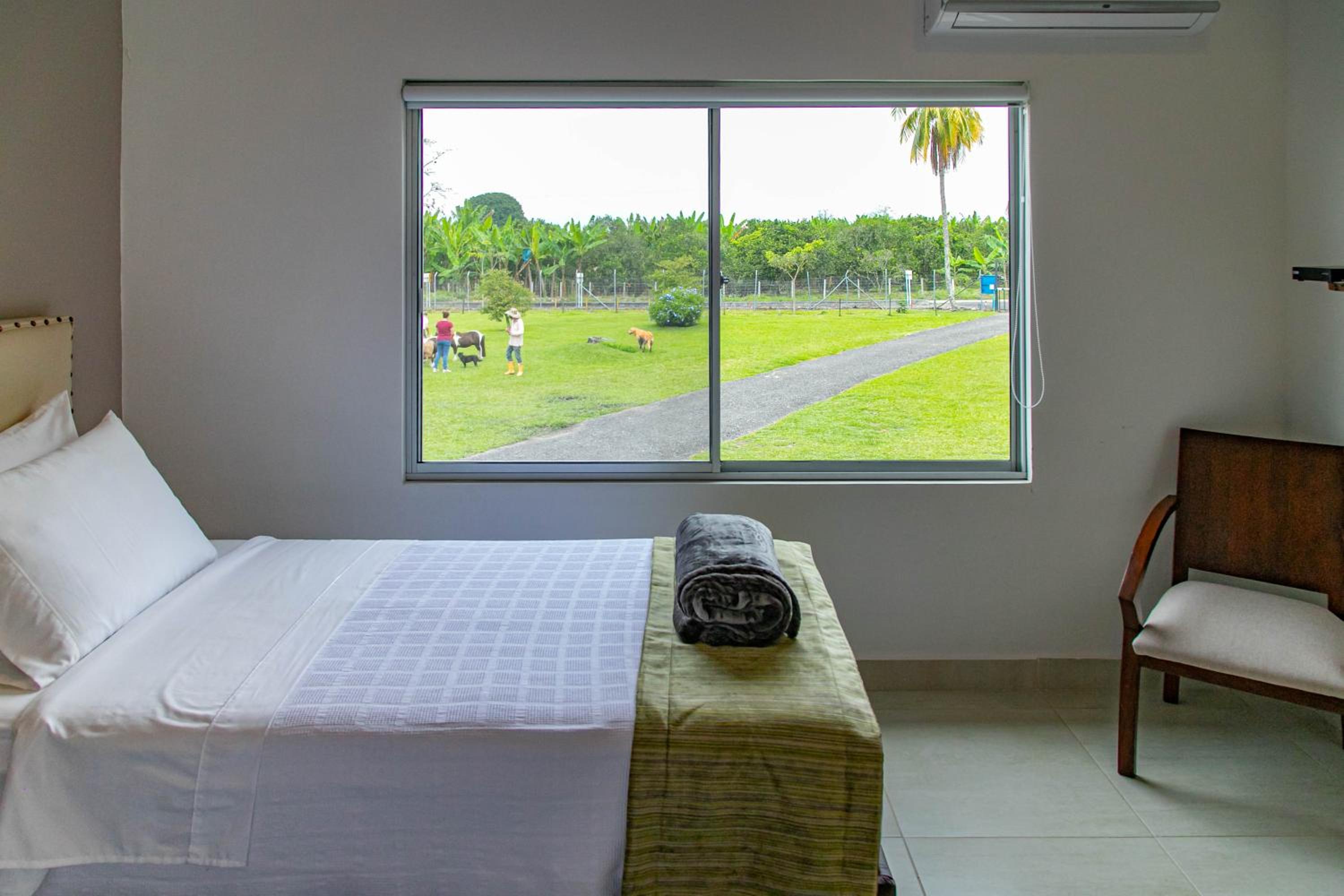 Twin Room photo 2