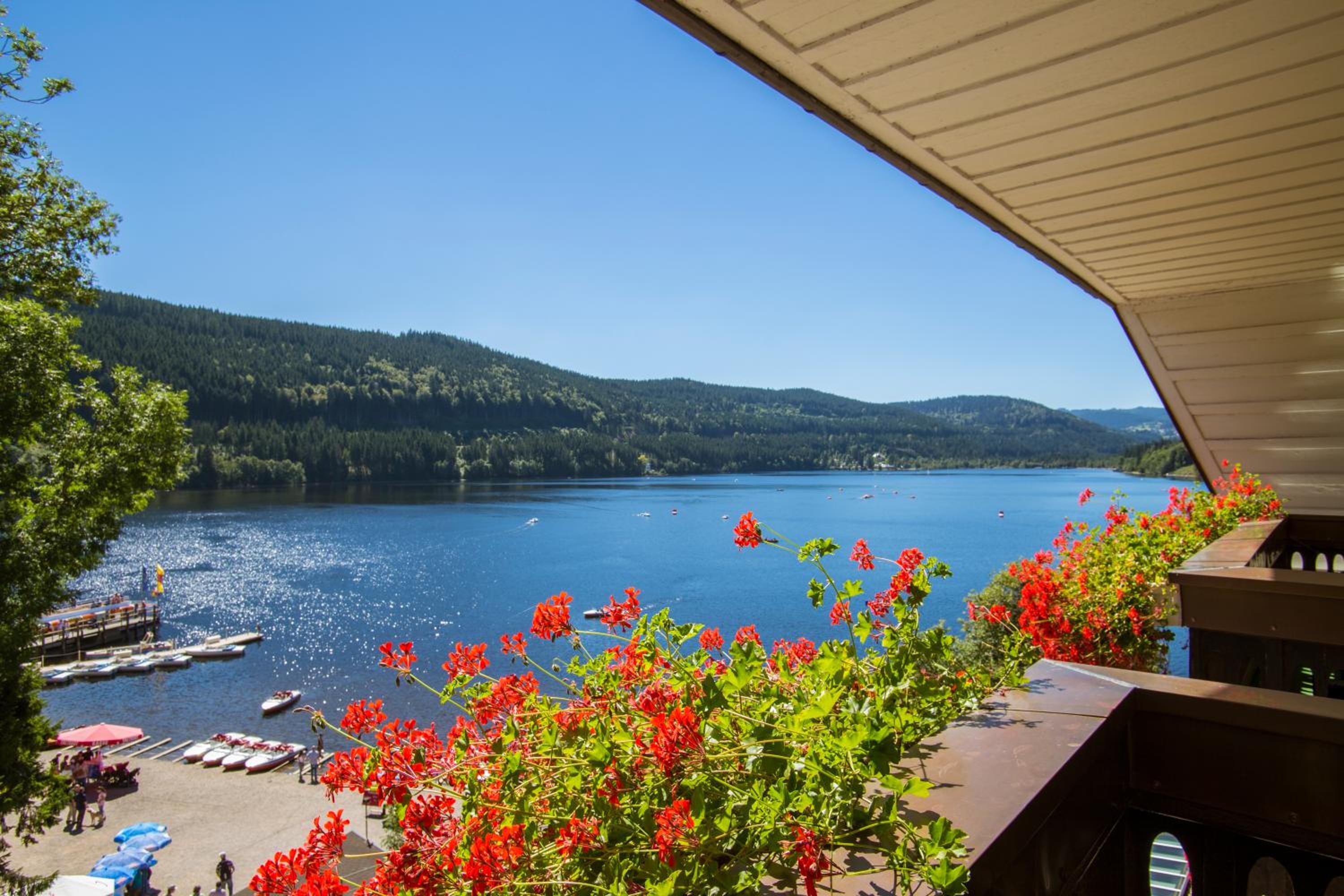 Comfort Double Room with Lake View and Balcony photo 3