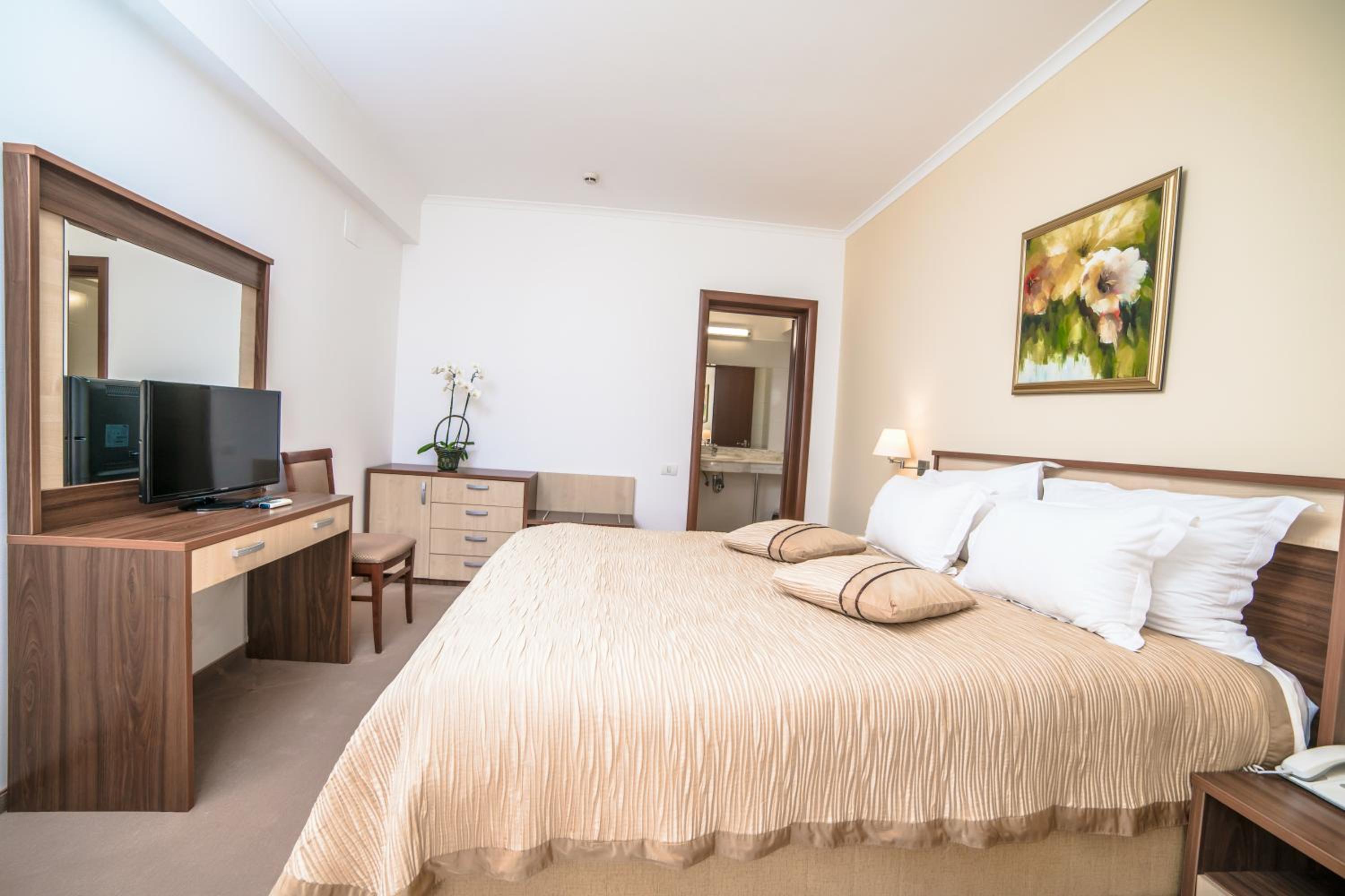Suite - Photo 1
