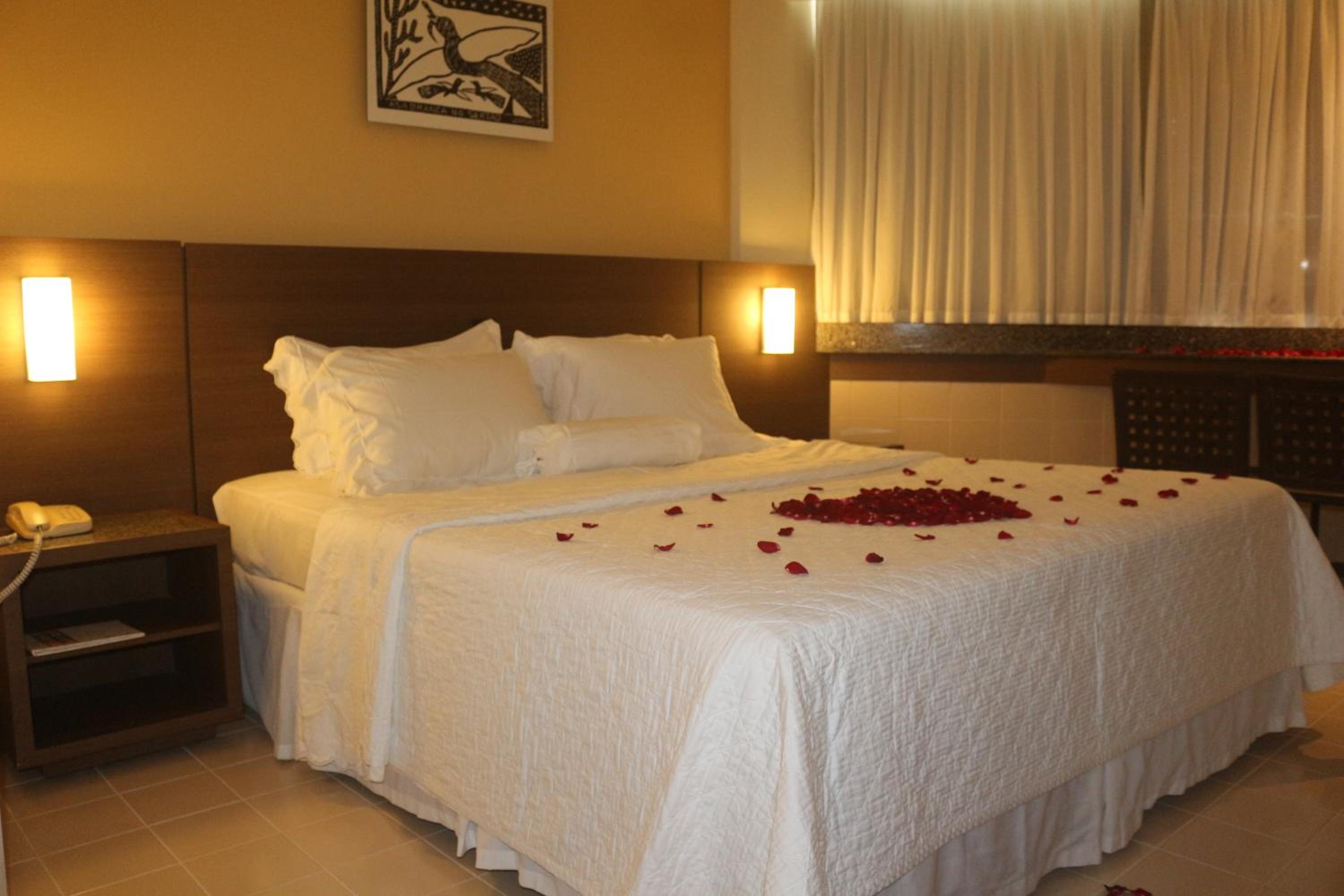 Suite - Photo 3