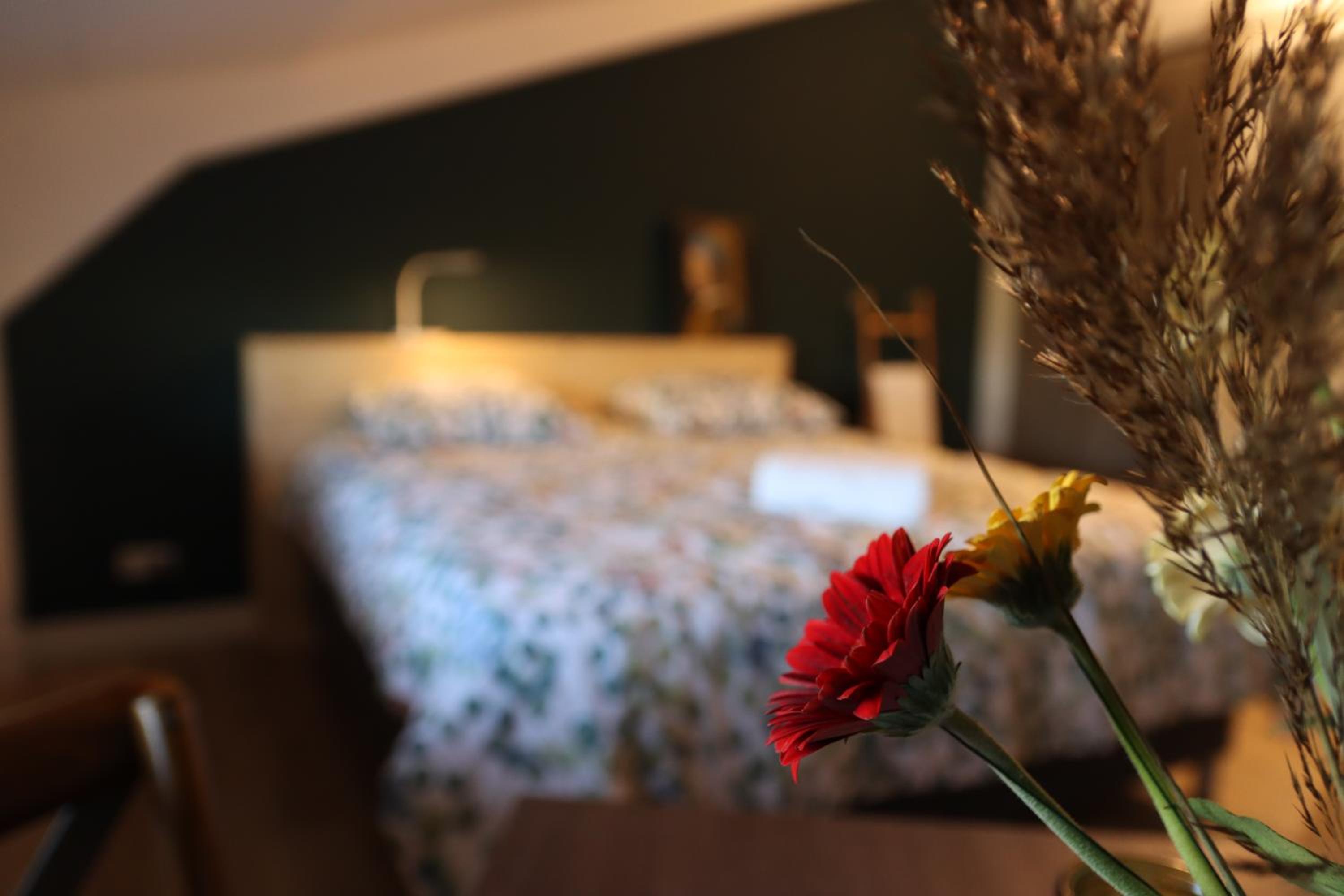 Deluxe Double or Twin Room photo 1