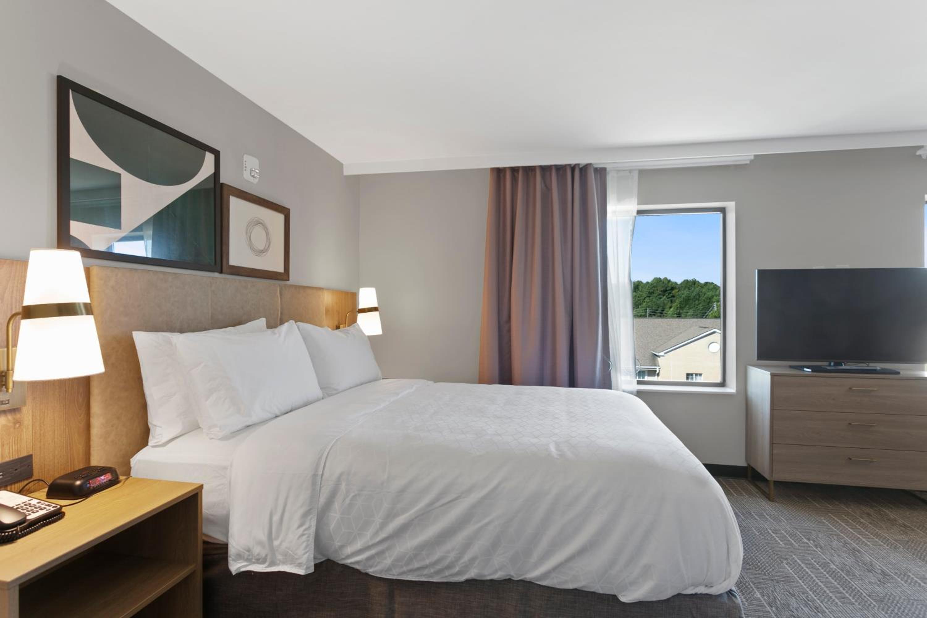 Studio Queen Suite - Photo 1