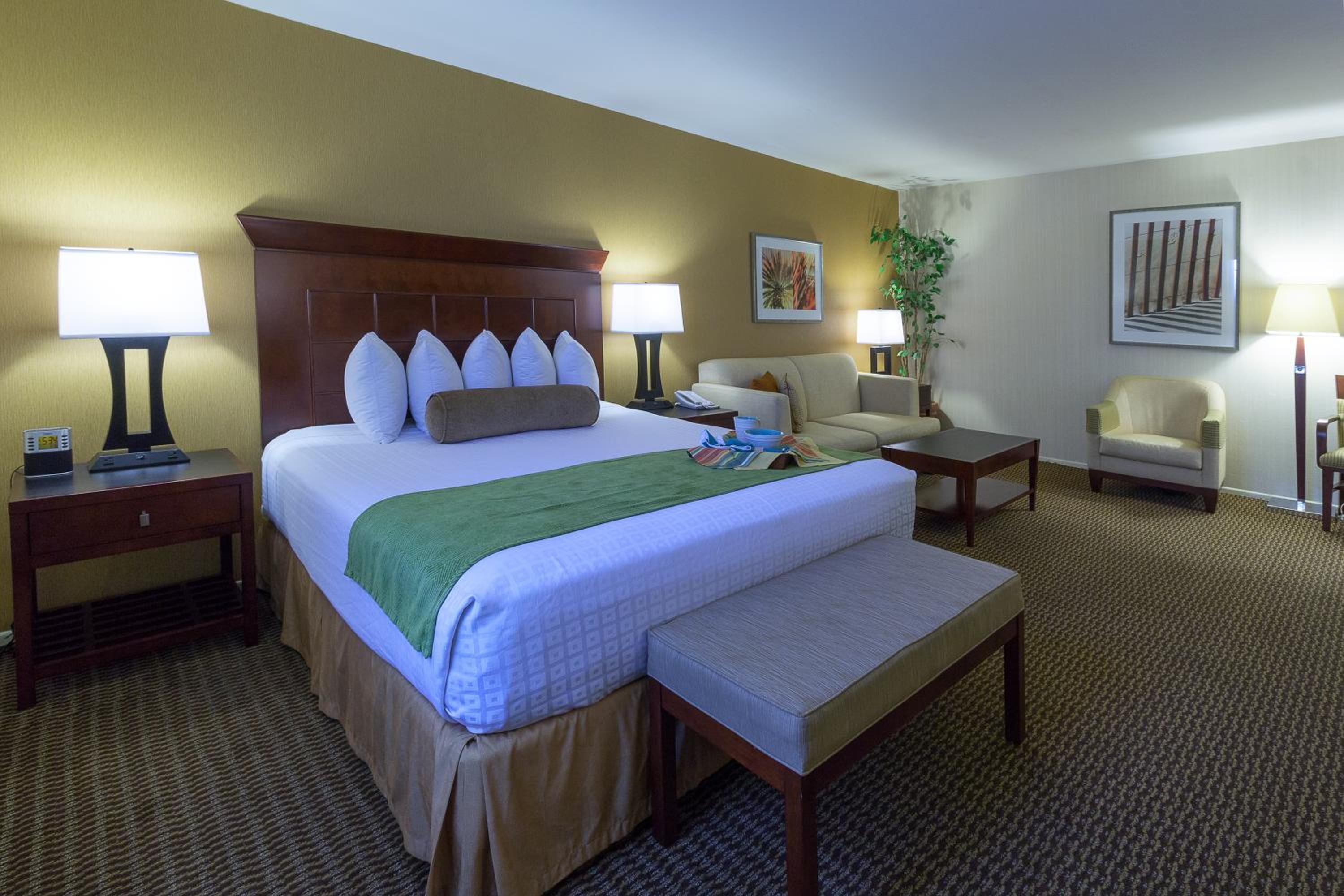 Deluxe King Suite - Non-Smoking - Photo 2