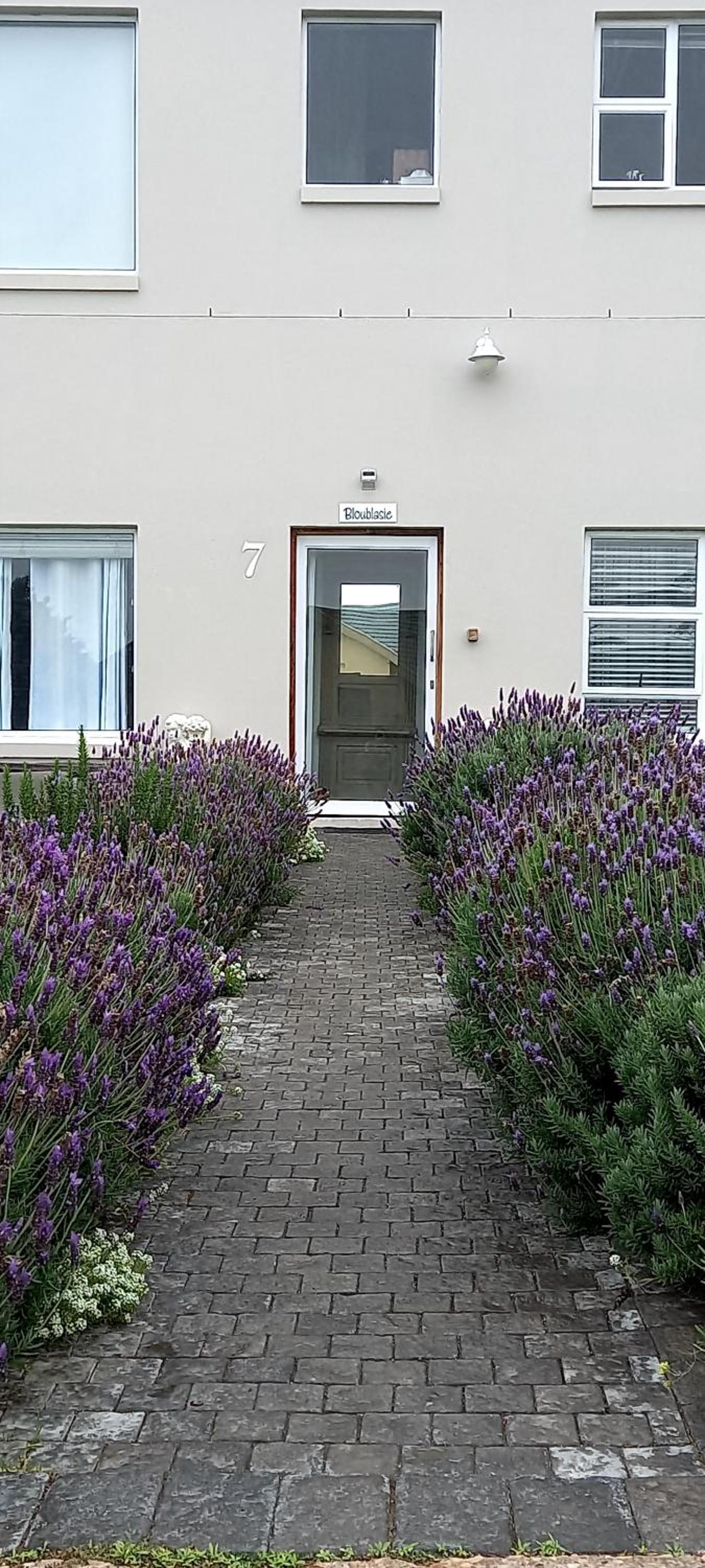 Two-Bedroom Apartment - Photo 12