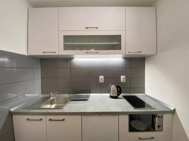 One-Bedroom Apartment photo 3