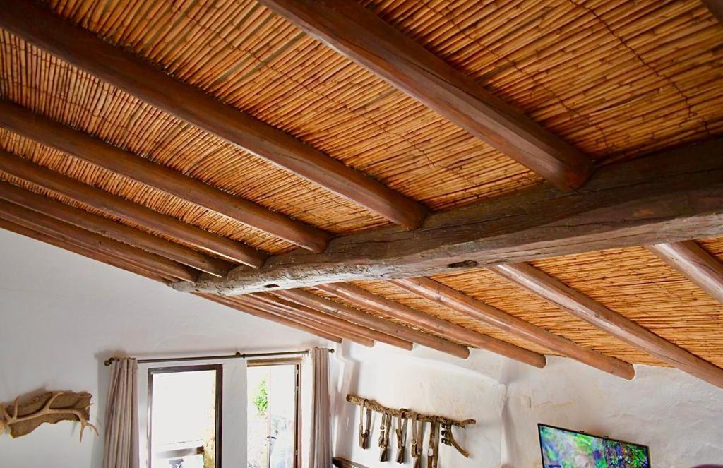 Suite with Terrace photo 2