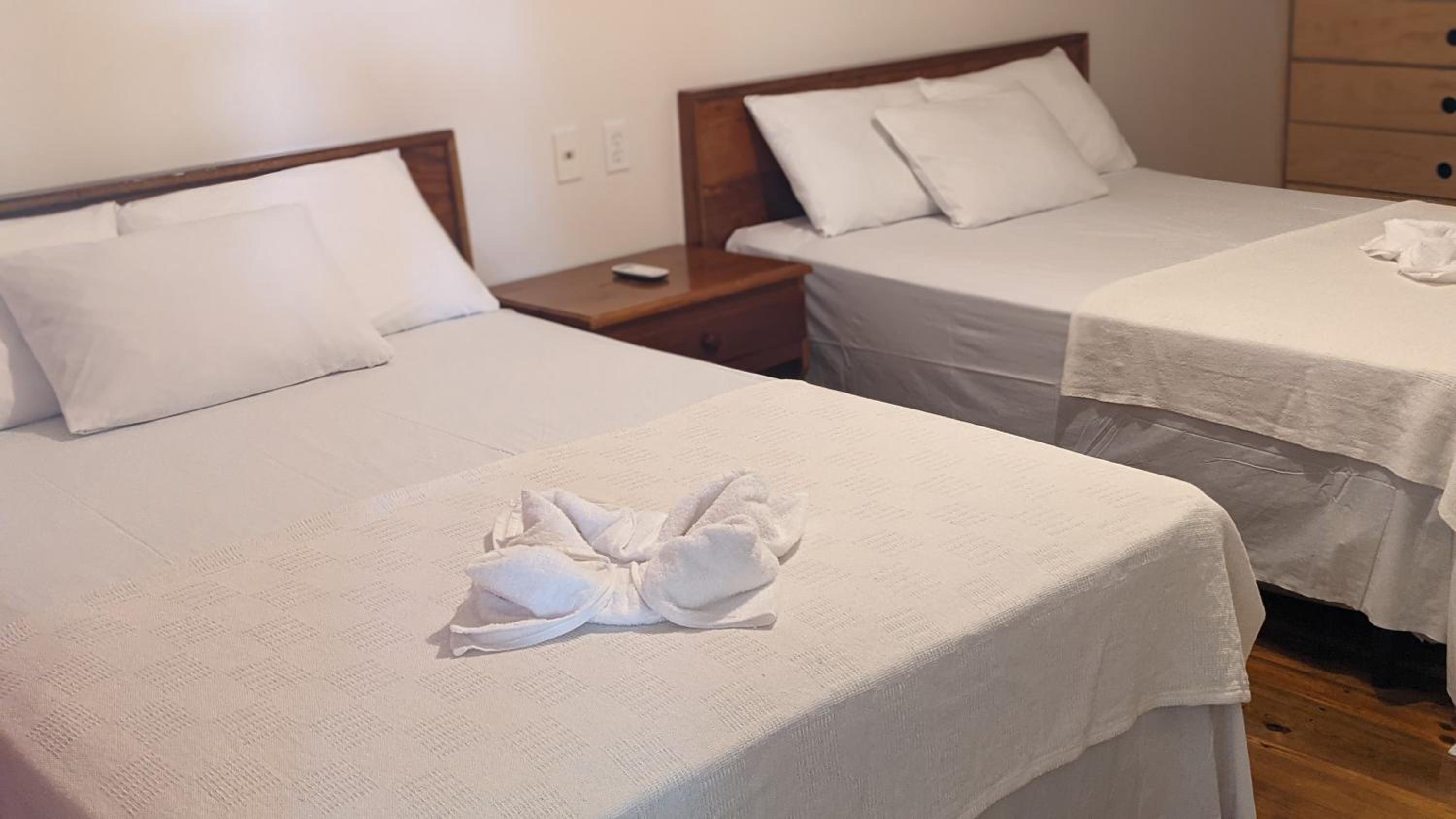 Double Room with Two Beds