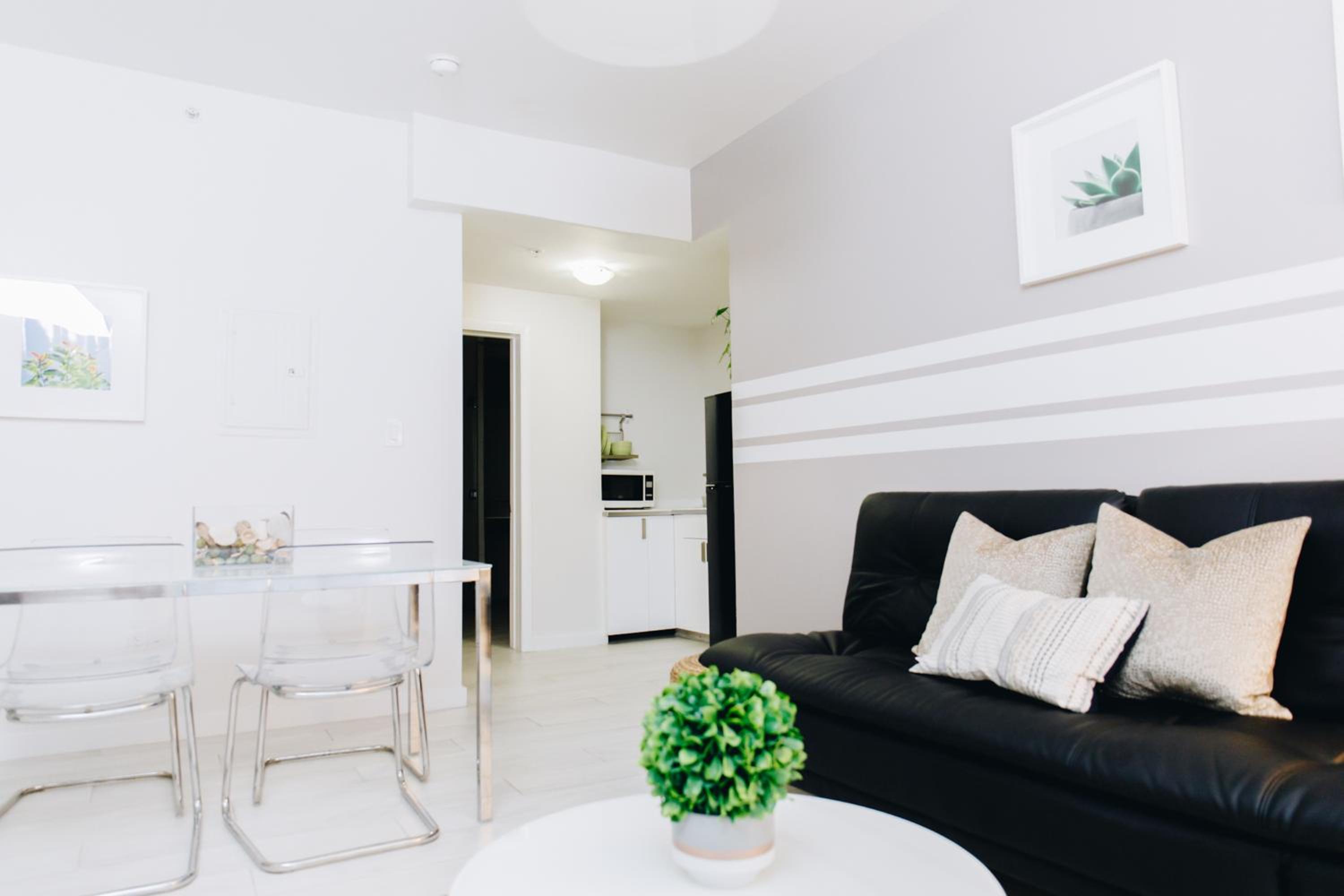 One Bedroom Apartment Accessible
