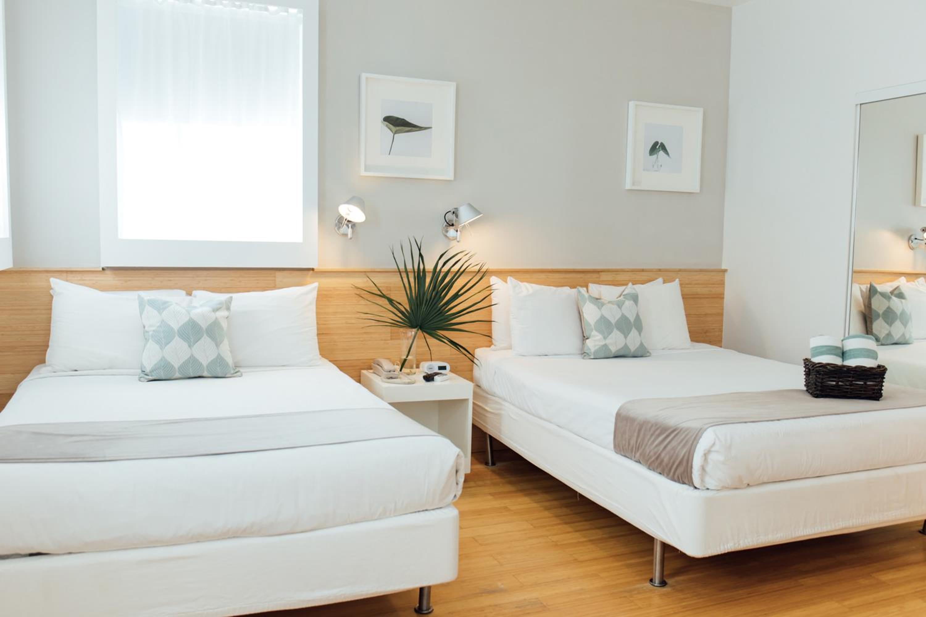 Deluxe Double, Two Queen Beds - Photo 8