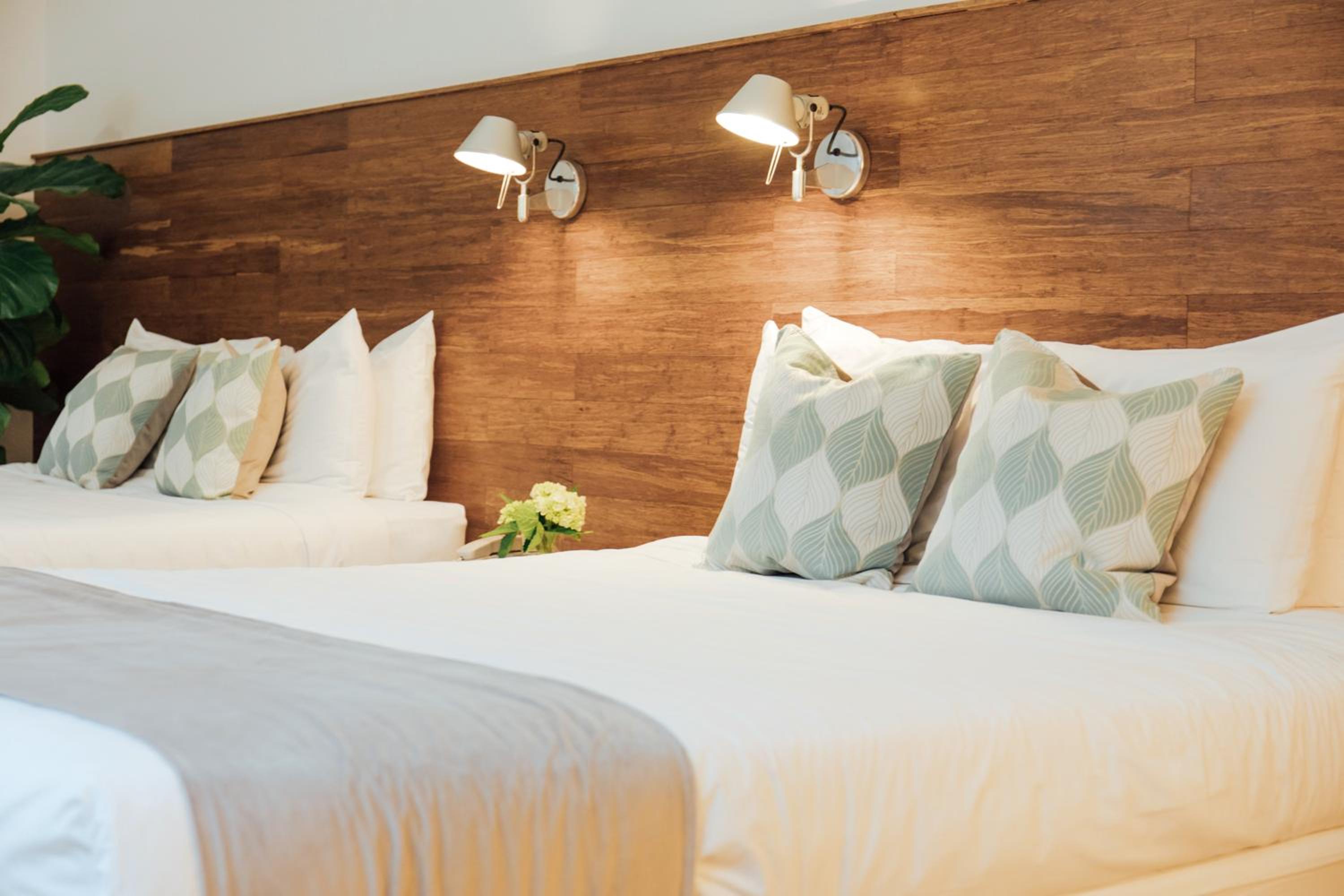 Deluxe Double, Two Queen Beds - Photo 2