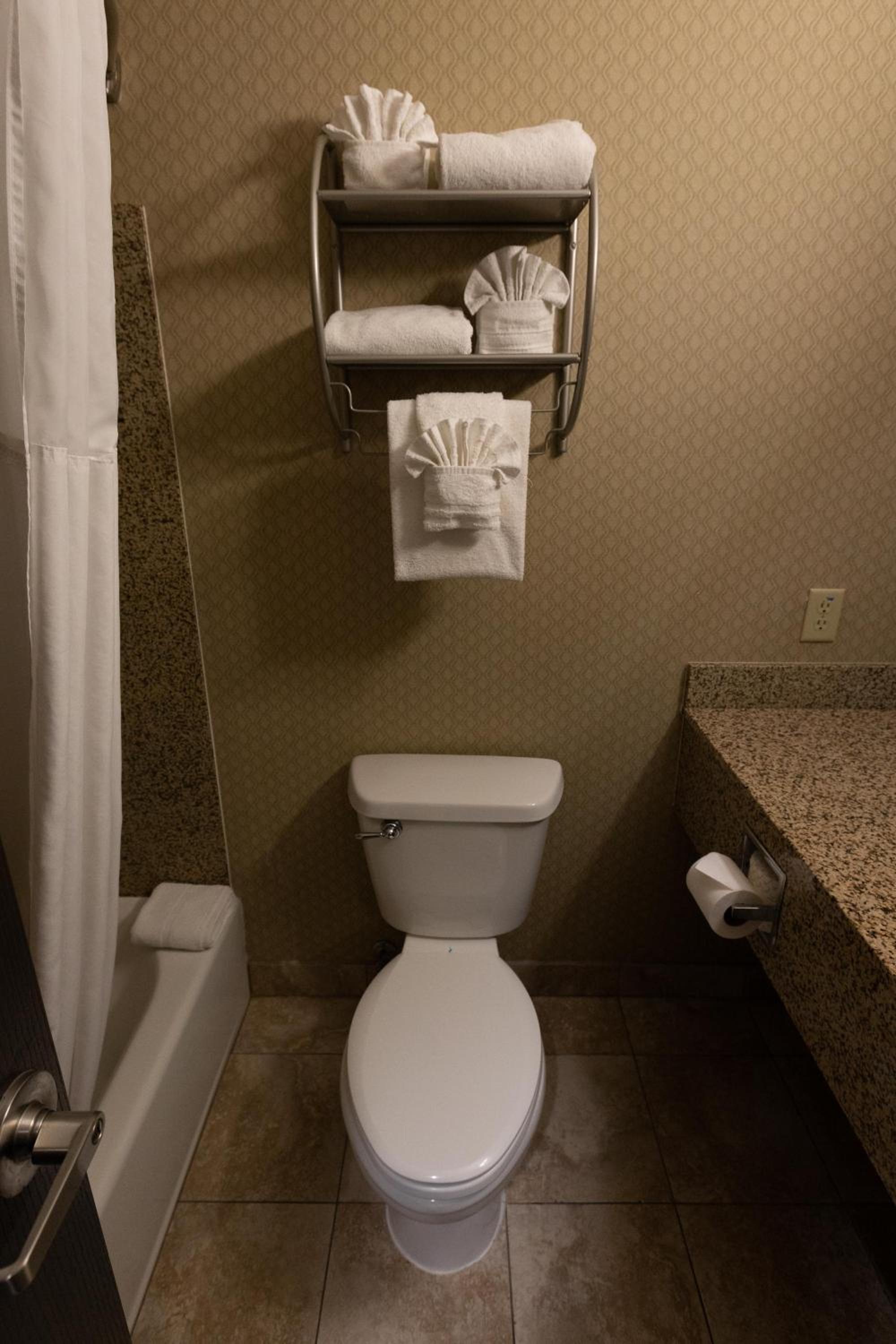 One King Bed Studio Suite - Non-Smoking - Photo 2