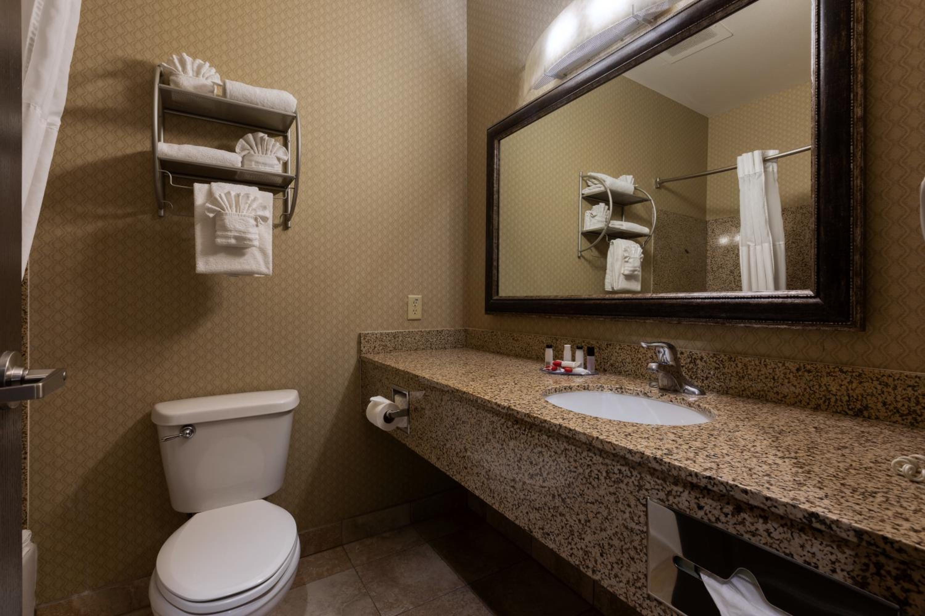 One King Bed Studio Suite - Non-Smoking - Photo 4