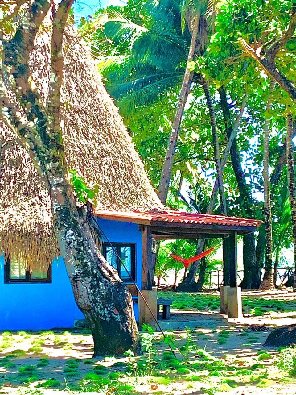 Family Bungalow photo 3