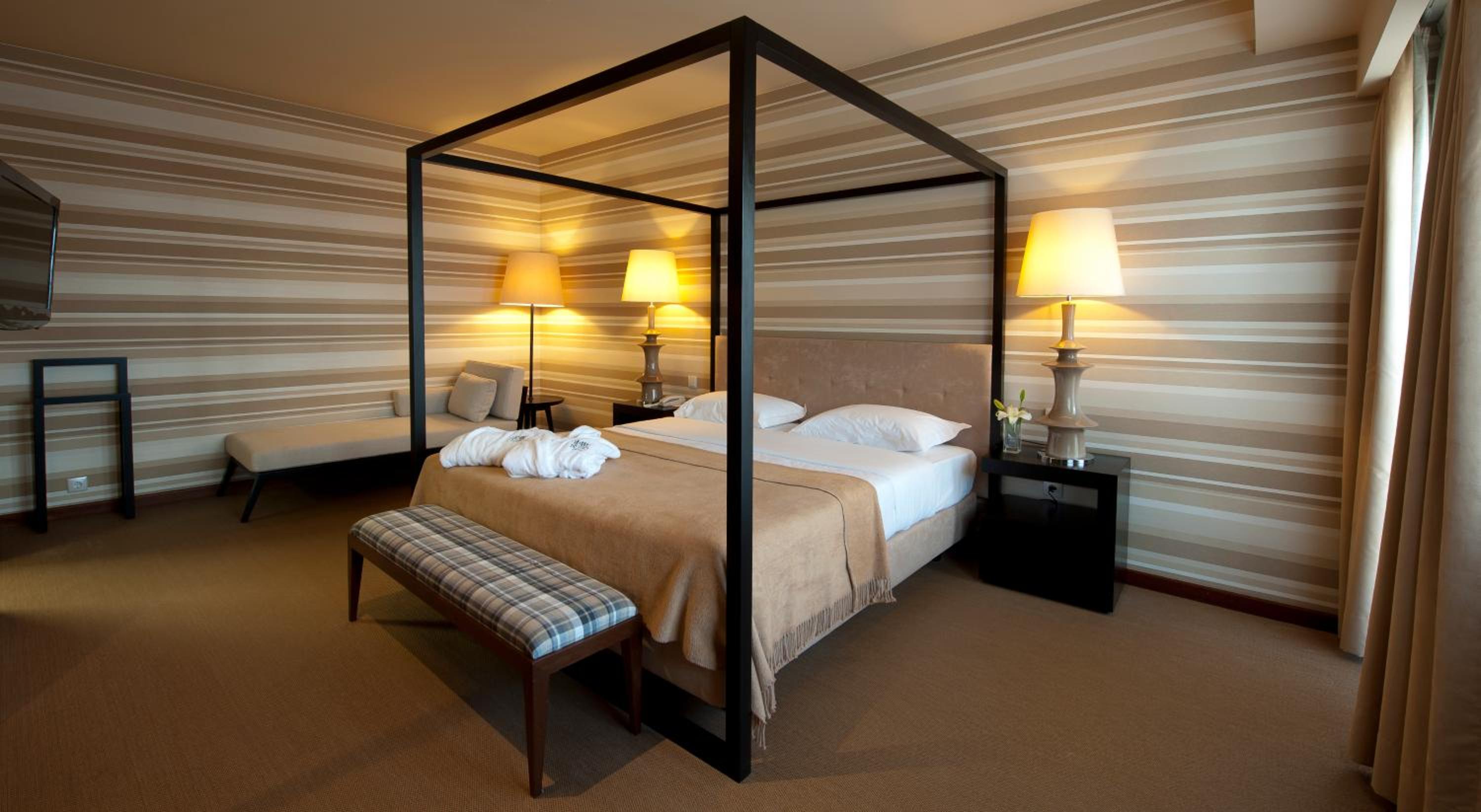 Suite - Photo 1