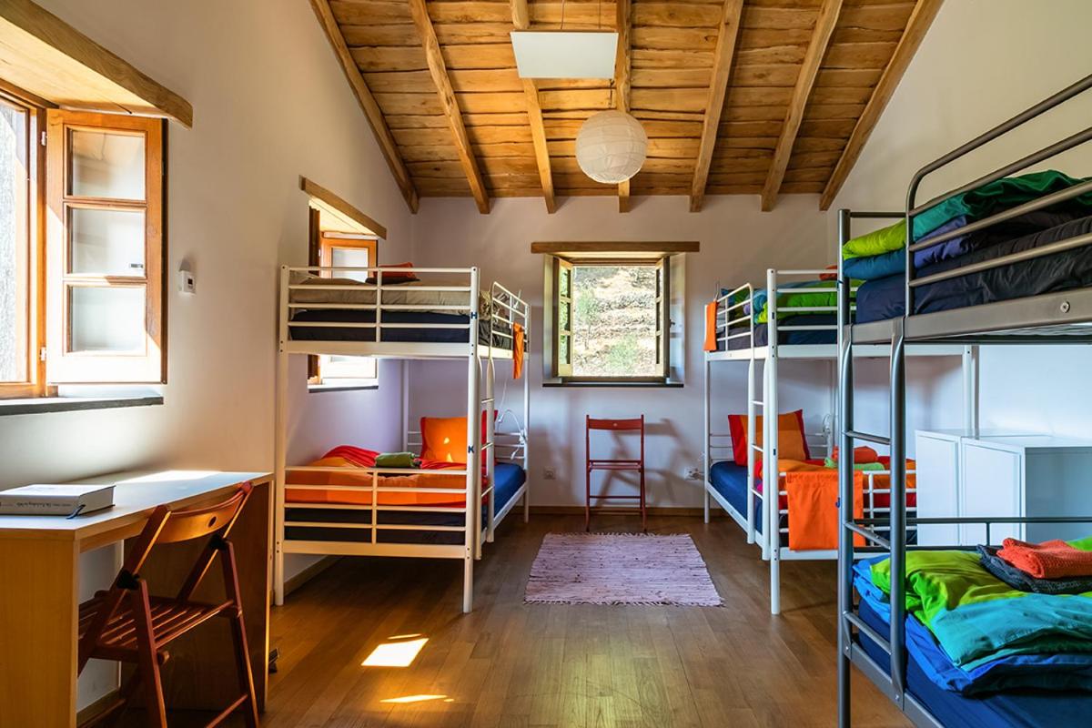 Bunk Bed In Male Dormitory Room