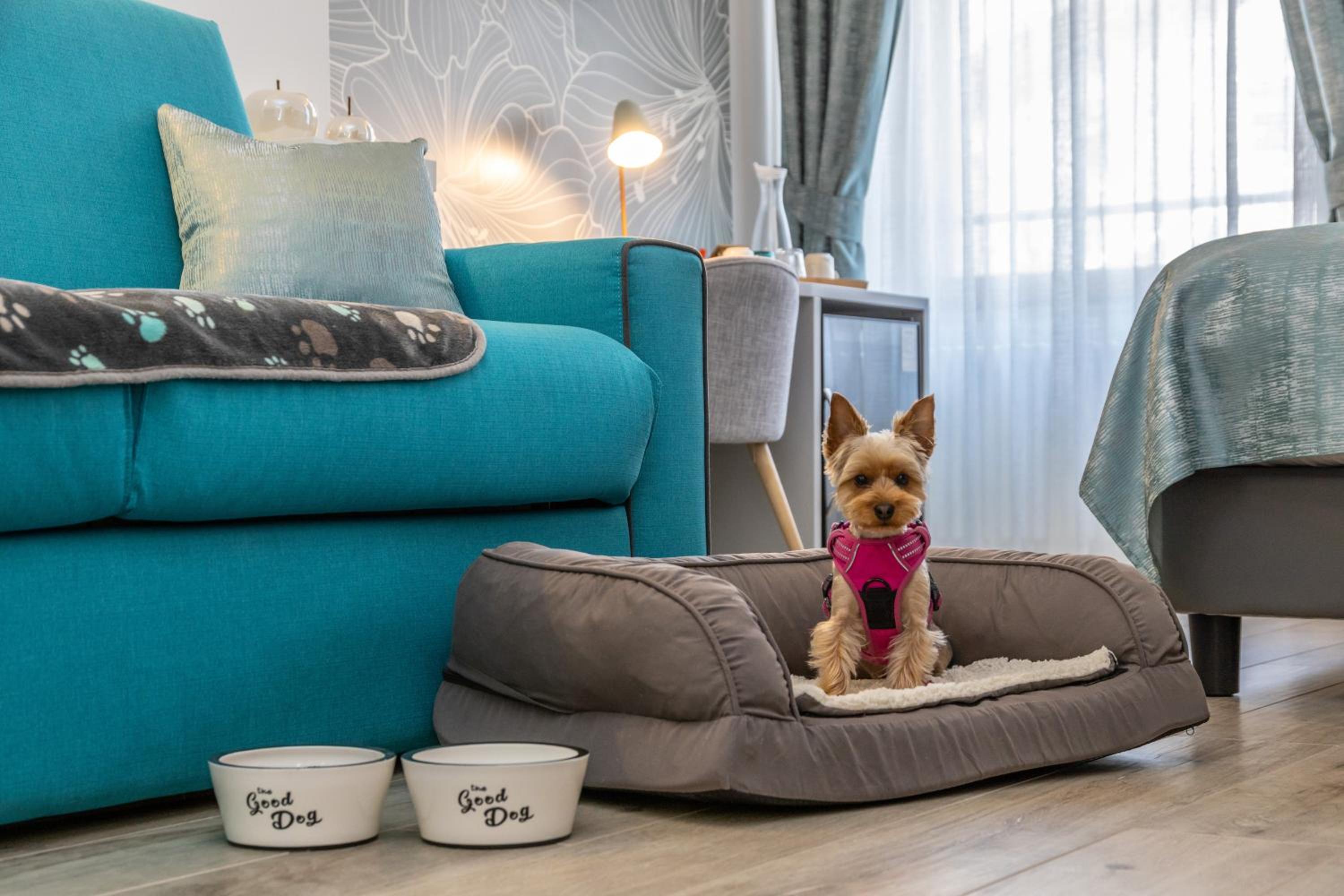 Family Junior Suite - Photo 12