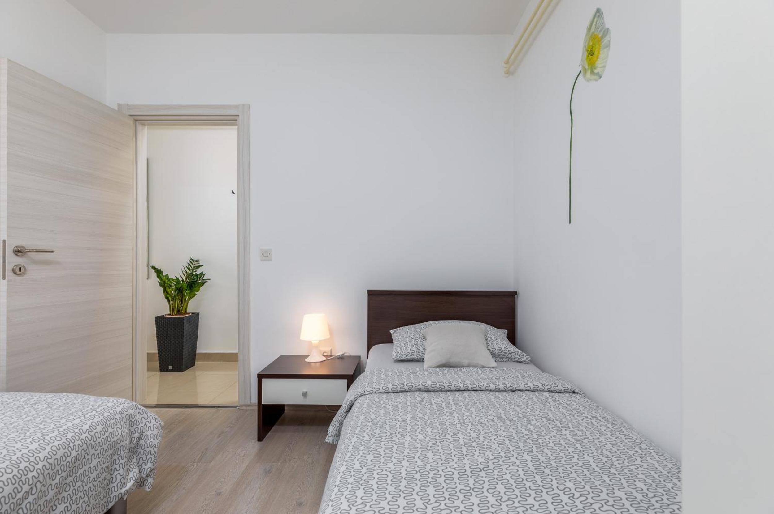 Apartment with Terrace photo 1