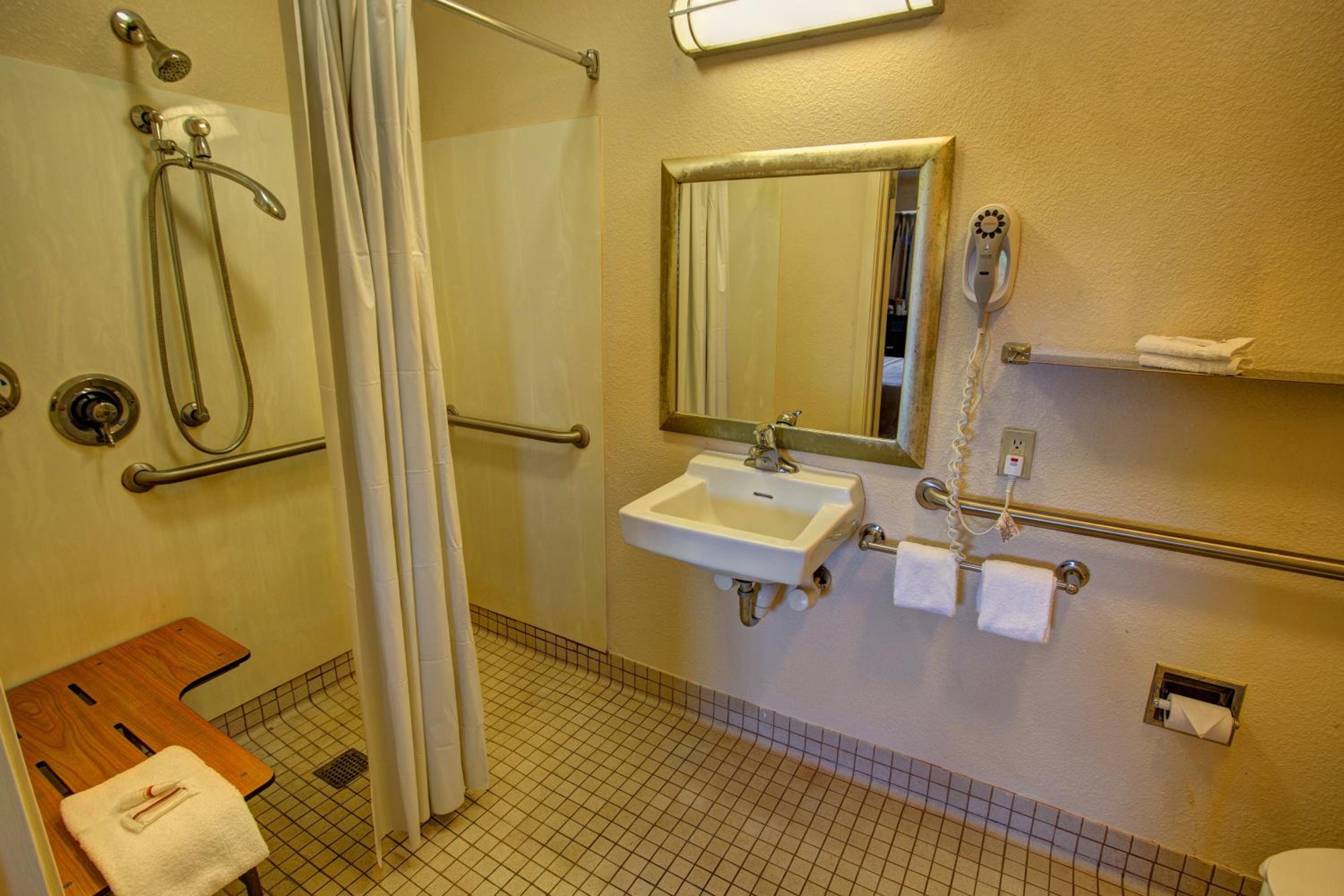 Superior King Room Disability Access Roll-In Shower Smoke Free - Photo 3