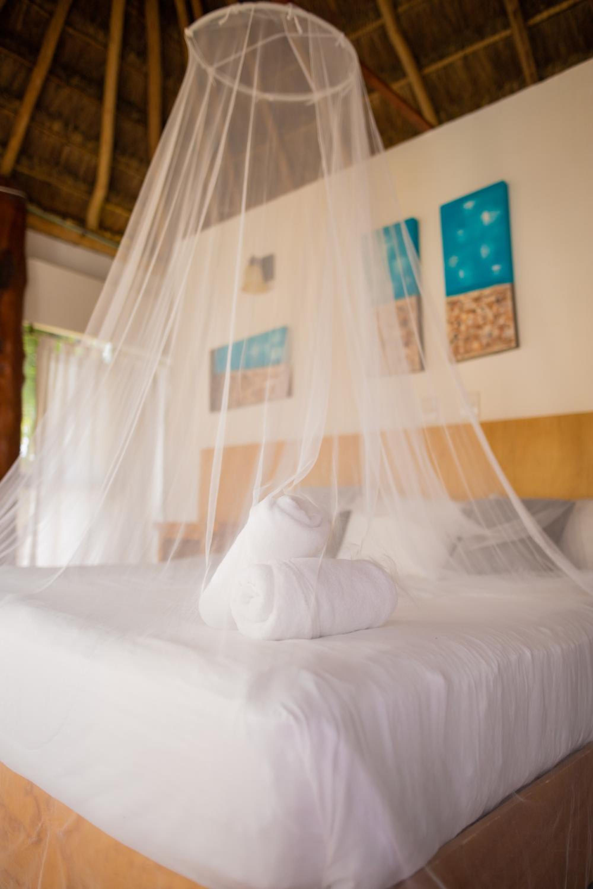 Palapa King Suite Pool View