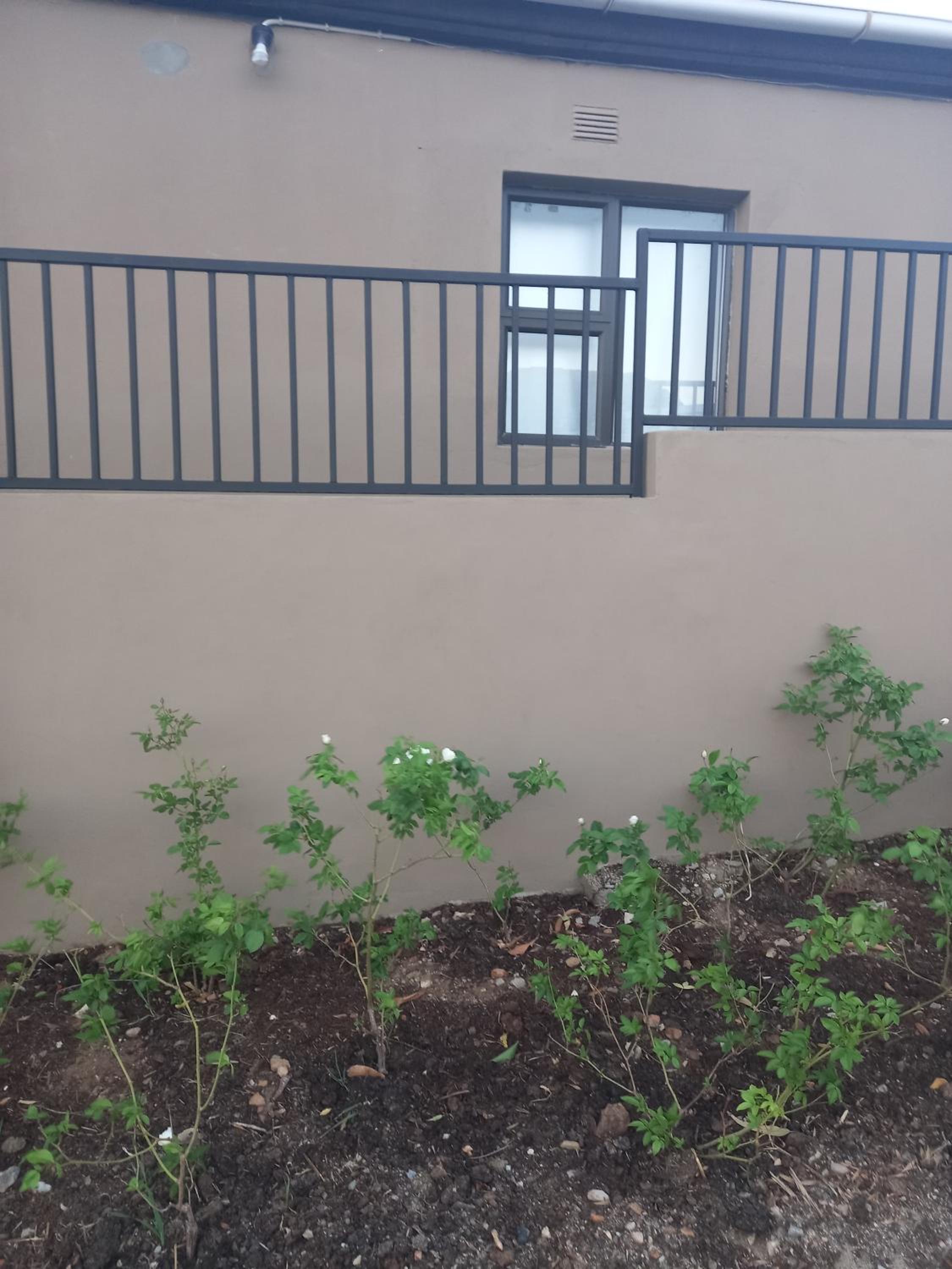 Two-Bedroom House - Photo 29